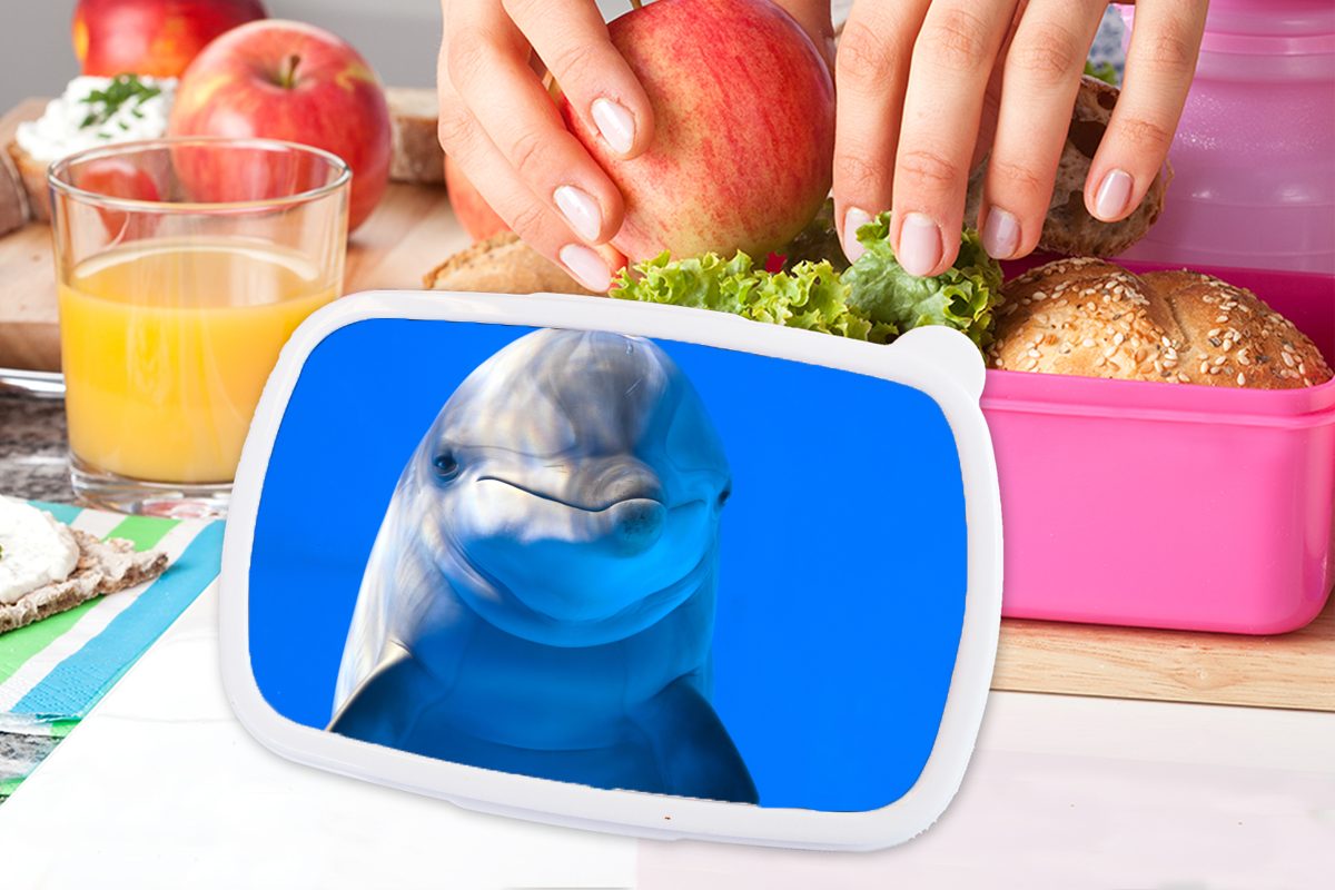 MuchoWow Lunchbox Delfin in rosa für Aquarium, Kunststoff einem (2-tlg), Erwachsene, Mädchen, Kinder, Kunststoff, Brotdose Snackbox, Brotbox