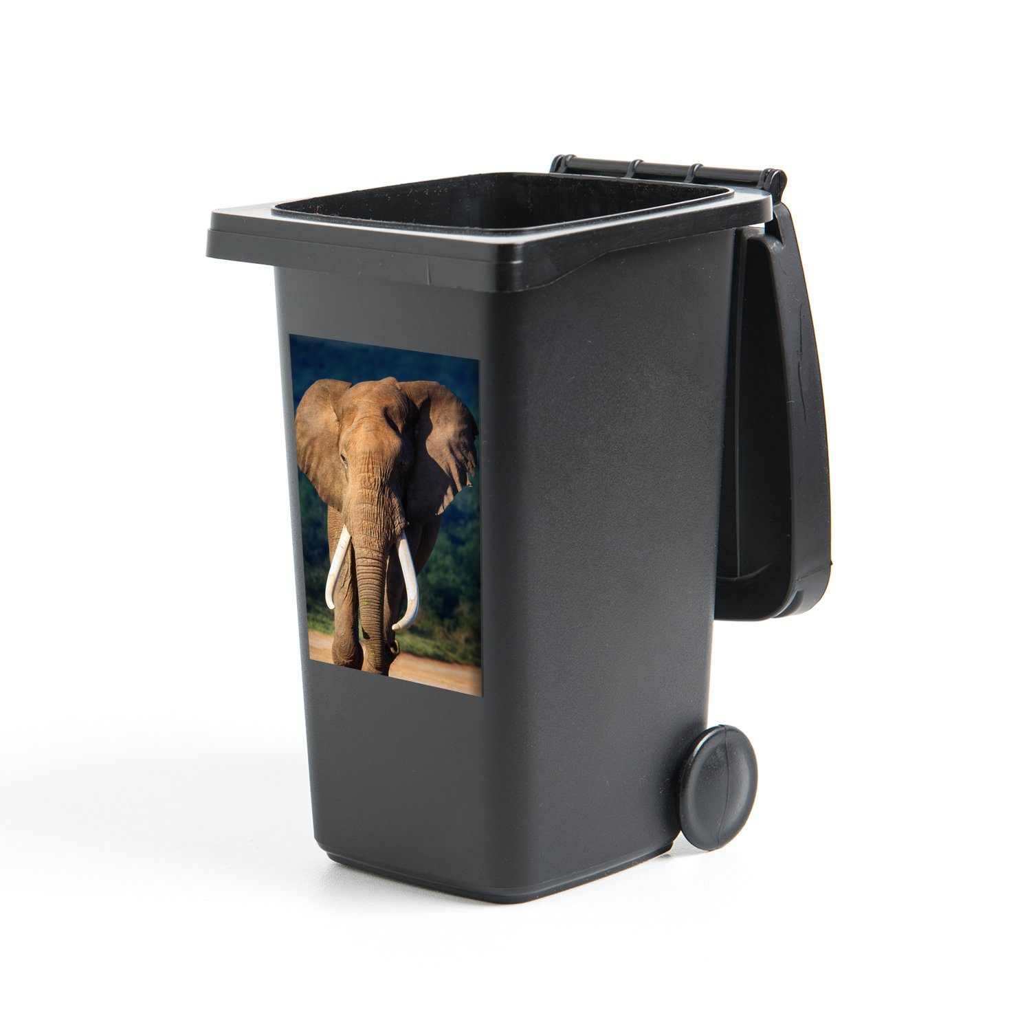 MuchoWow Wandsticker Elefant - Zähne - Natur (1 St), Mülleimer-aufkleber, Mülltonne, Sticker, Container, Abfalbehälter