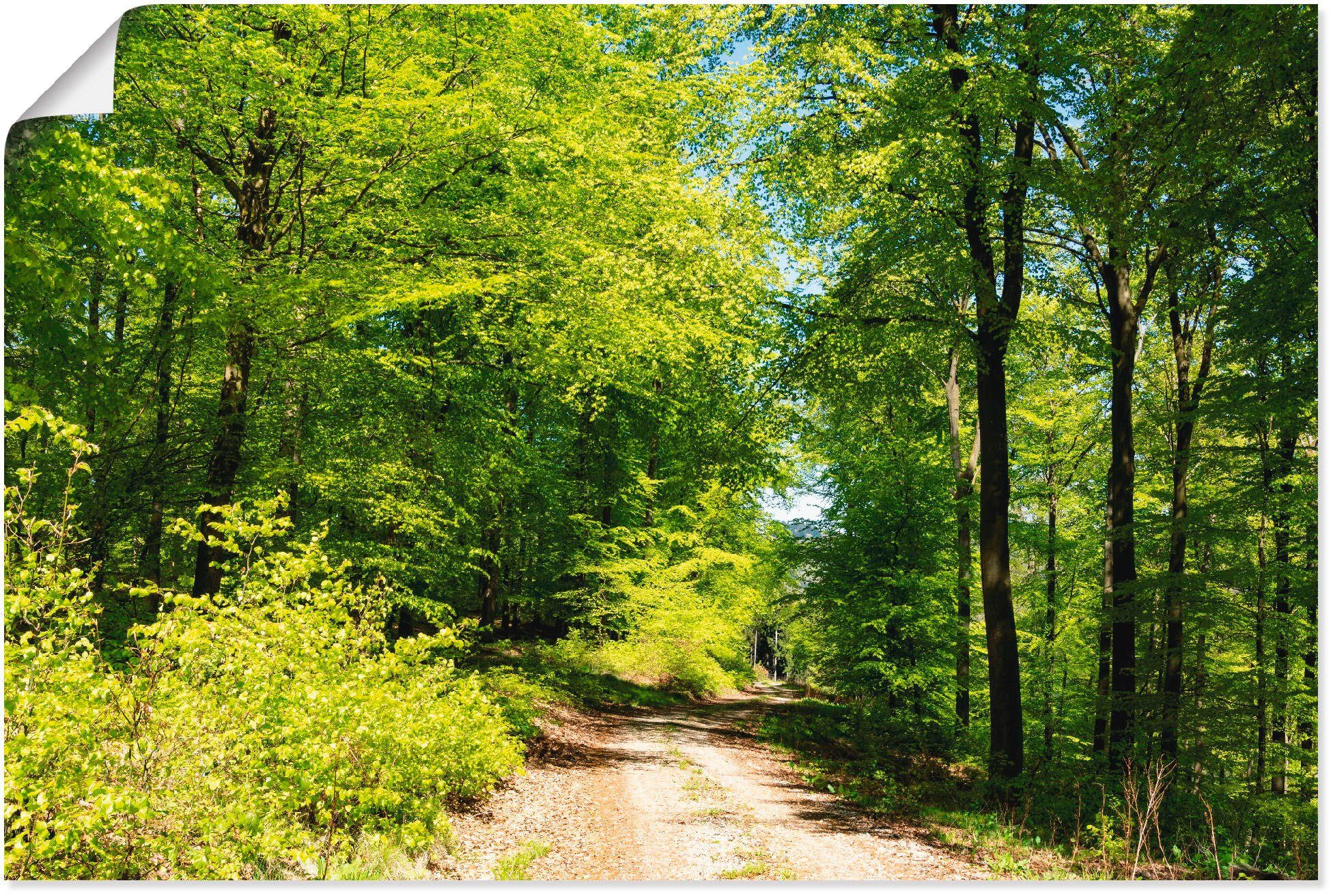 Himmel Blauer im Größen Wald dem in Poster Leinwandbild, Artland St), versch. über oder Wald Wandaufkleber Mai, Alubild, Wandbild (1 als