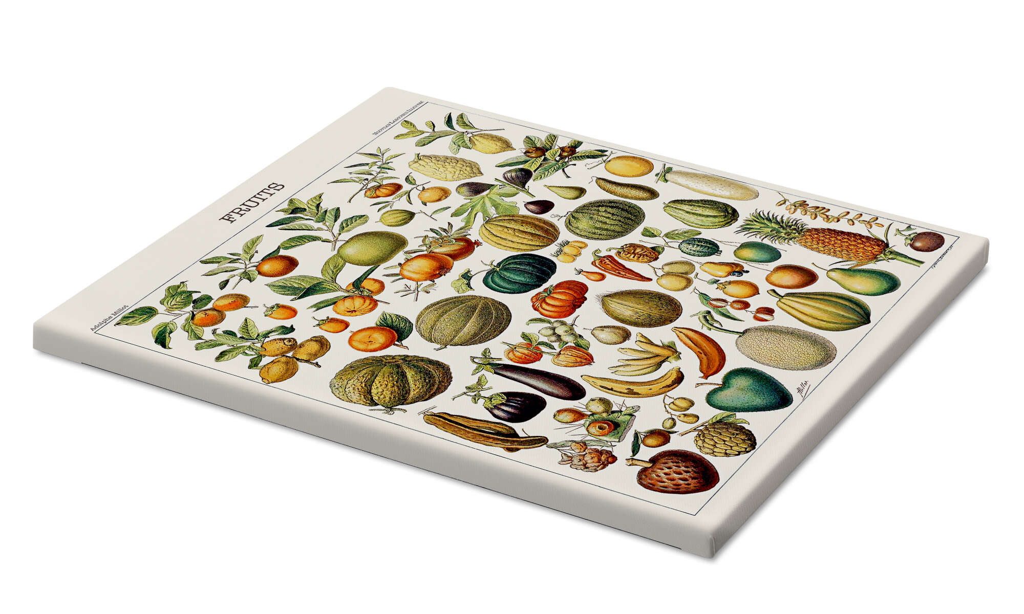 Posterlounge Wandbild Illustration von Früchten, 1923, günstig online kaufen