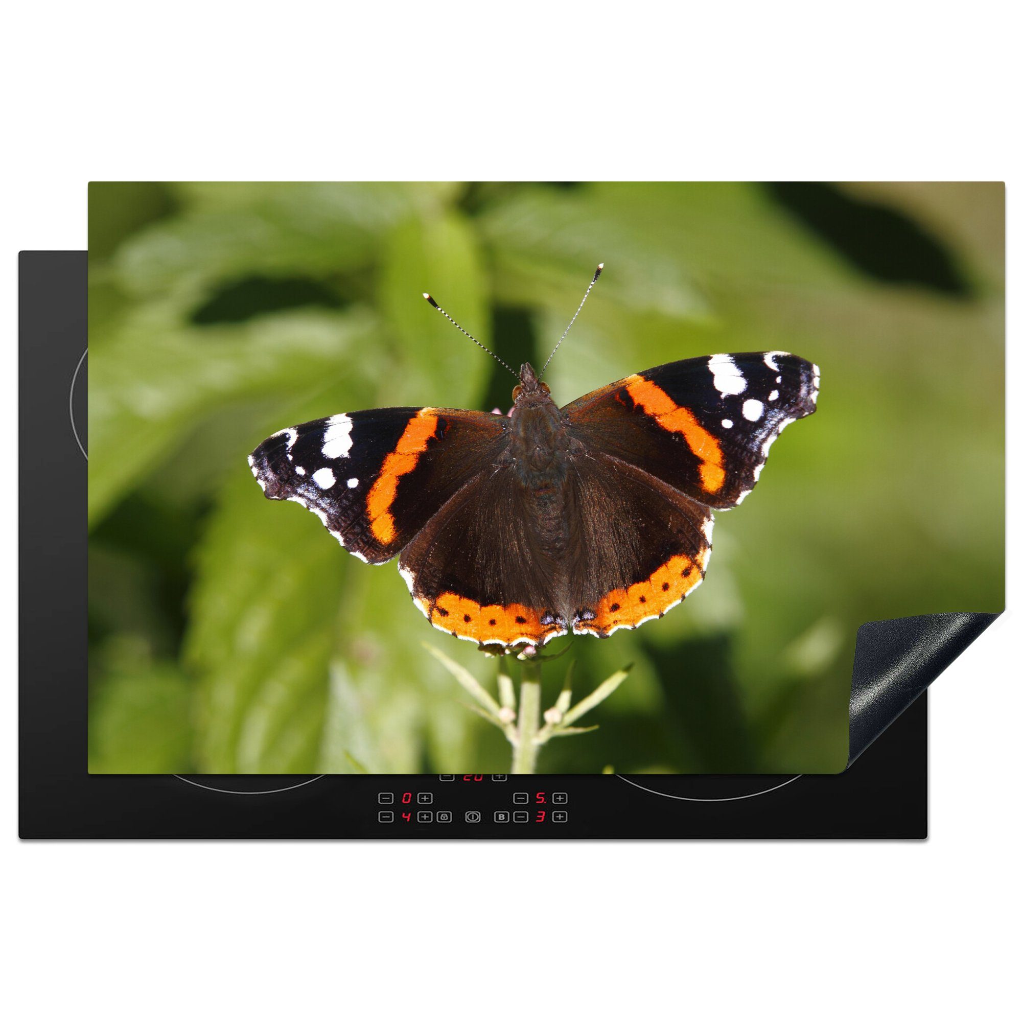 MuchoWow Herdblende-/Abdeckplatte Admiralschmetterling auf einer Grünpflanze, Vinyl, (1 tlg), 81x52 cm, Induktionskochfeld Schutz für die küche, Ceranfeldabdeckung