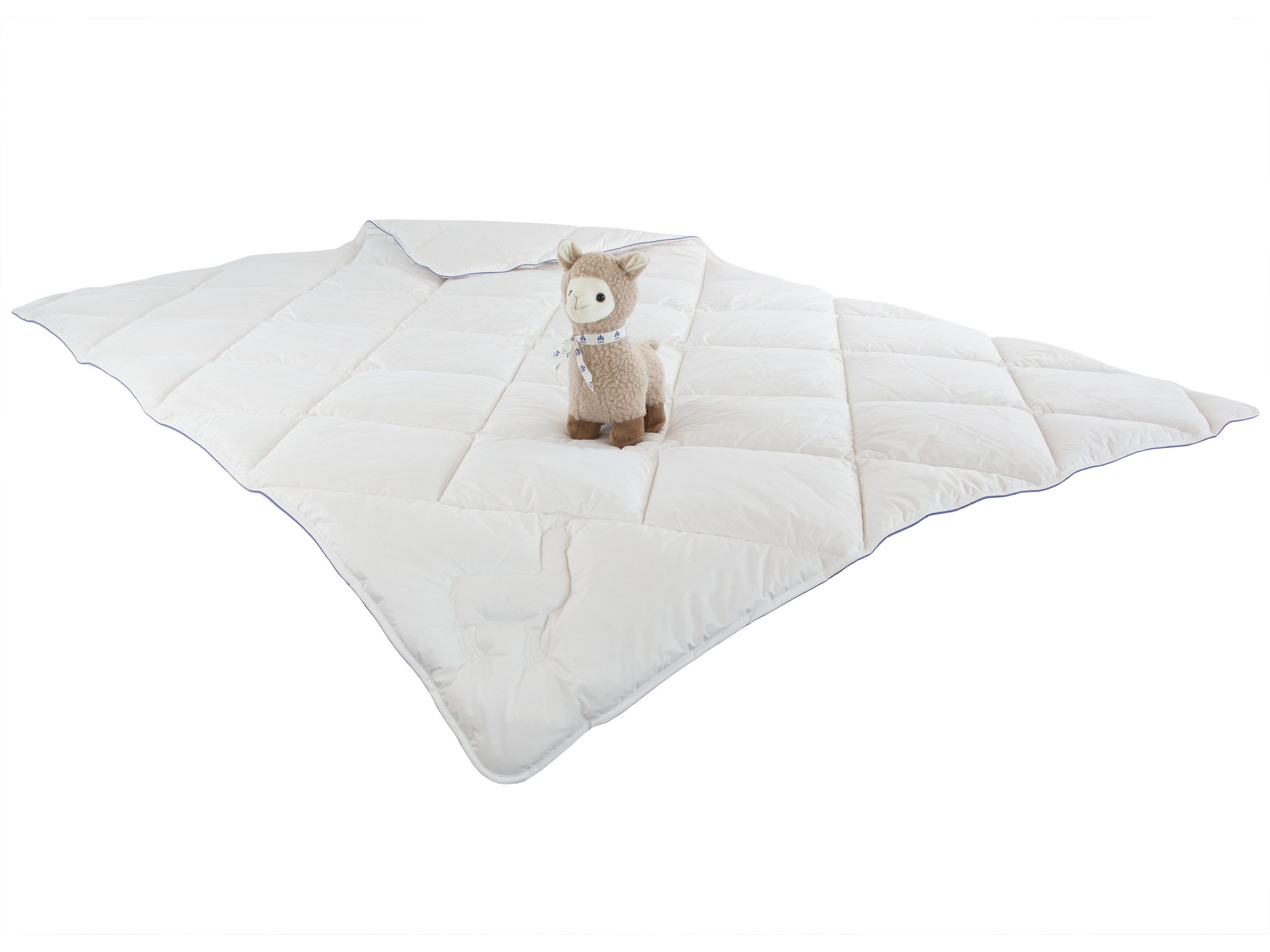 Irisette Naturhaarbettdecke Steppbett Irisette Alpaka + 1 Gratis Plüsch Alp günstig online kaufen