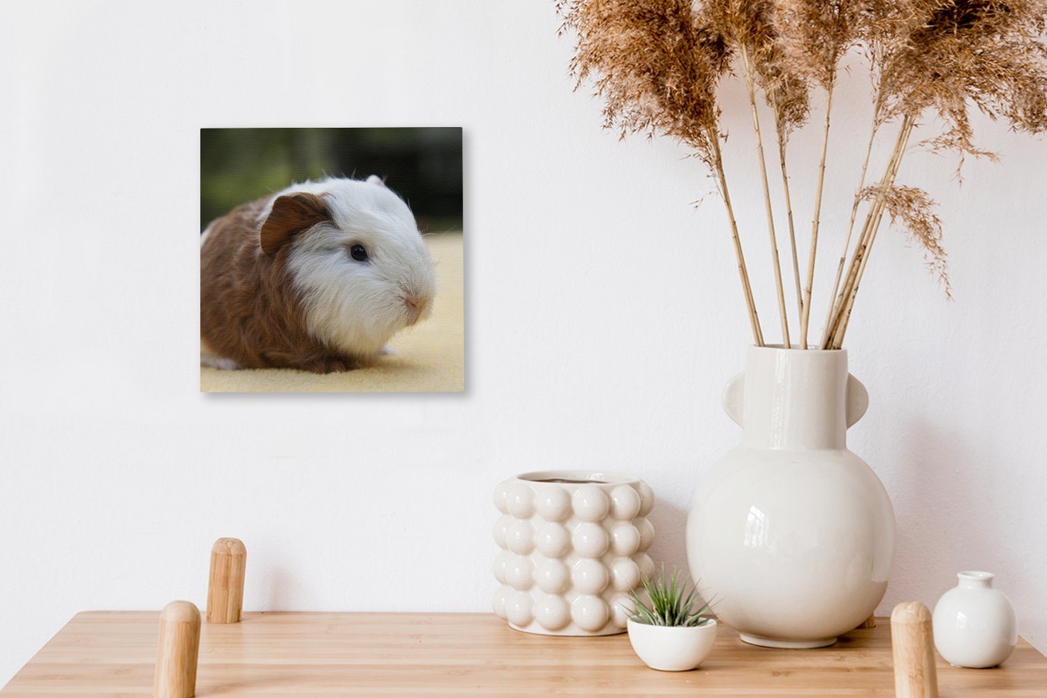 OneMillionCanvasses® Leinwandbild Meerschweinchen, St), Wohnzimmer Bilder Leinwand Schlafzimmer Junges für (1