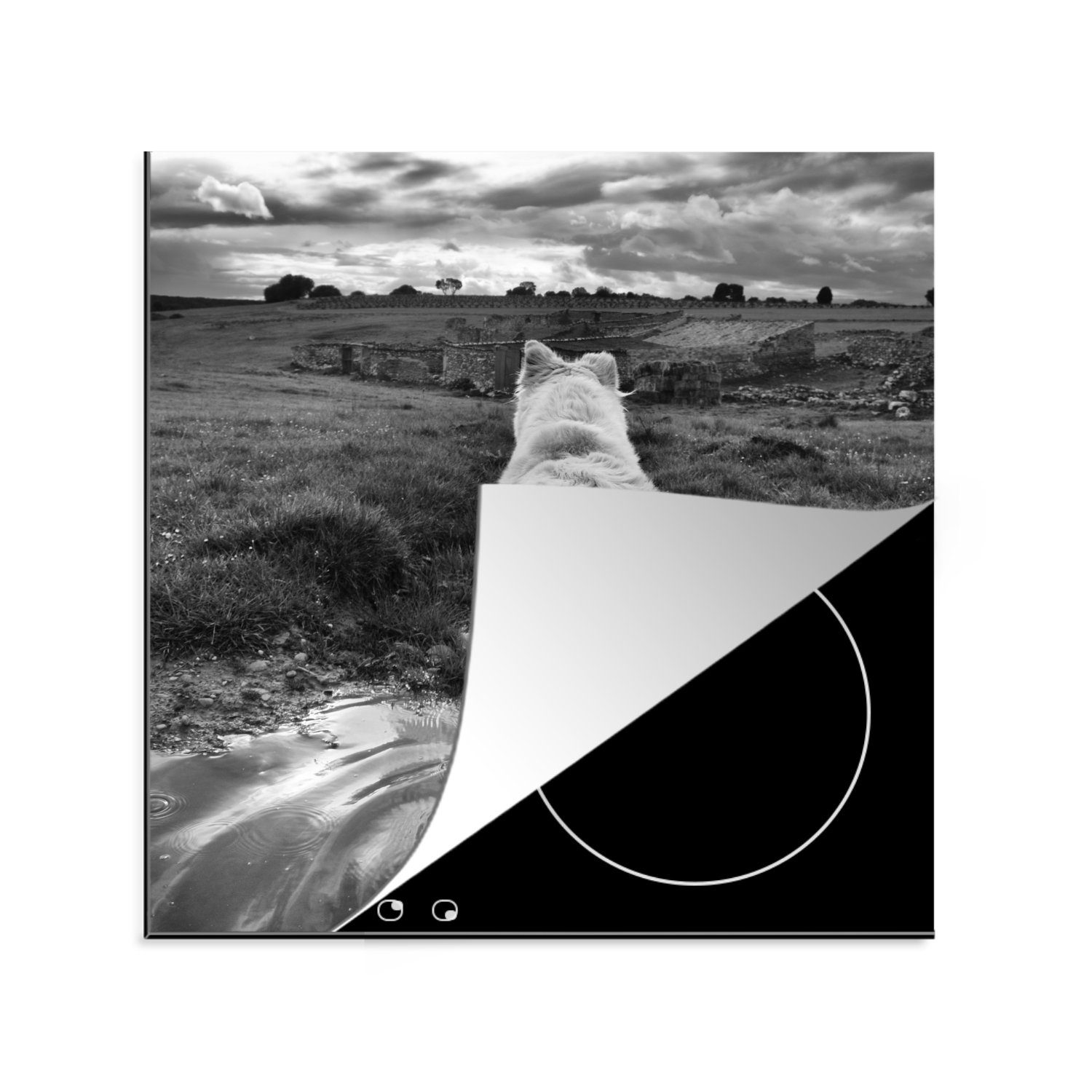 MuchoWow Herdblende-/Abdeckplatte Wolf Landschaft Vinyl, Blick Schwarz Arbeitsplatte küche cm, tlg), die mit und 78x78 Ceranfeldabdeckung, auf Weiß, für (1 in