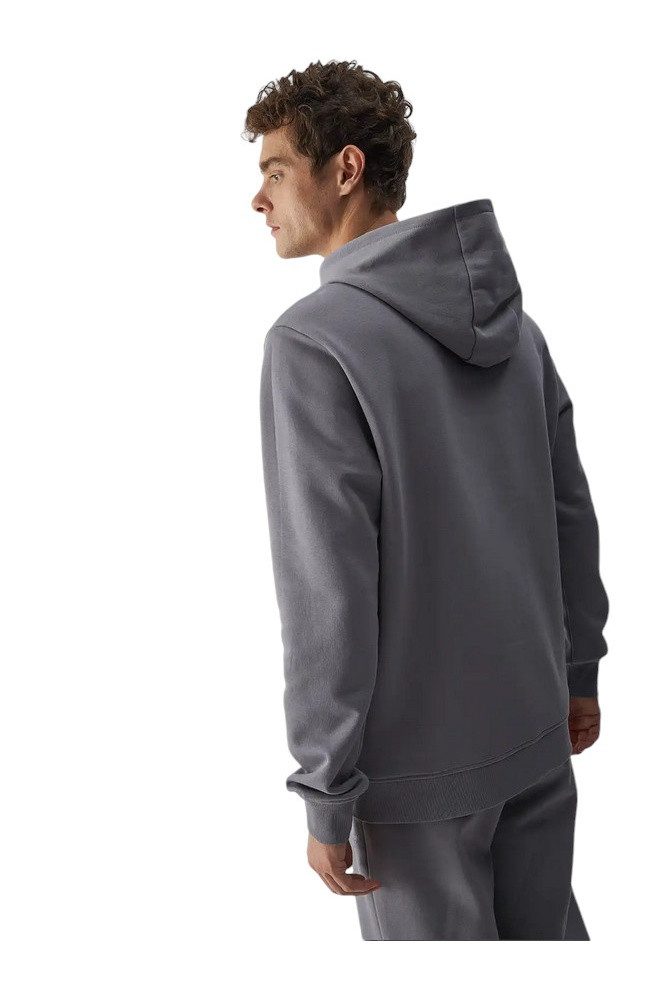 4F Kapuzenpullover Sweatshirt M1494 (Baumwolle) grau Herren