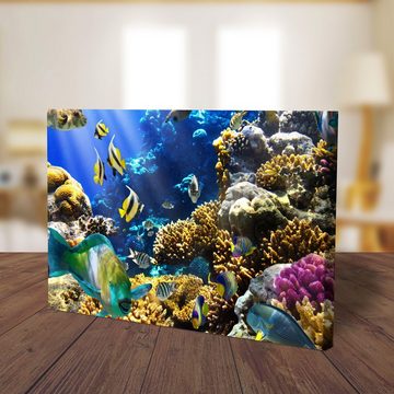 wandmotiv24 Leinwandbild Unterwasser, Unterwasser (1 St), Wandbild, Wanddeko, Leinwandbilder in versch. Größen