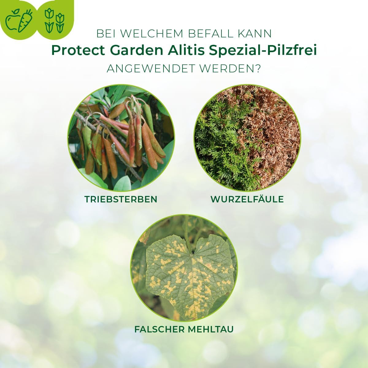 Protect Garden Pflanzen-Pilzfrei Protect Garden Alitis Spezial-Pilzfrei Vitalisiert und heilt 4 x 10 g
