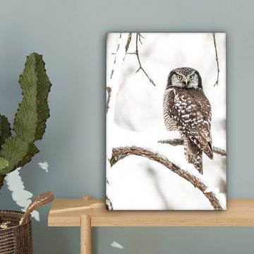 OneMillionCanvasses® Leinwandbild Eule - Schnee - Winter - Vögel - Porträt, (1 St), Leinwandbild fertig bespannt inkl. Zackenaufhänger, Gemälde, 20x30 cm