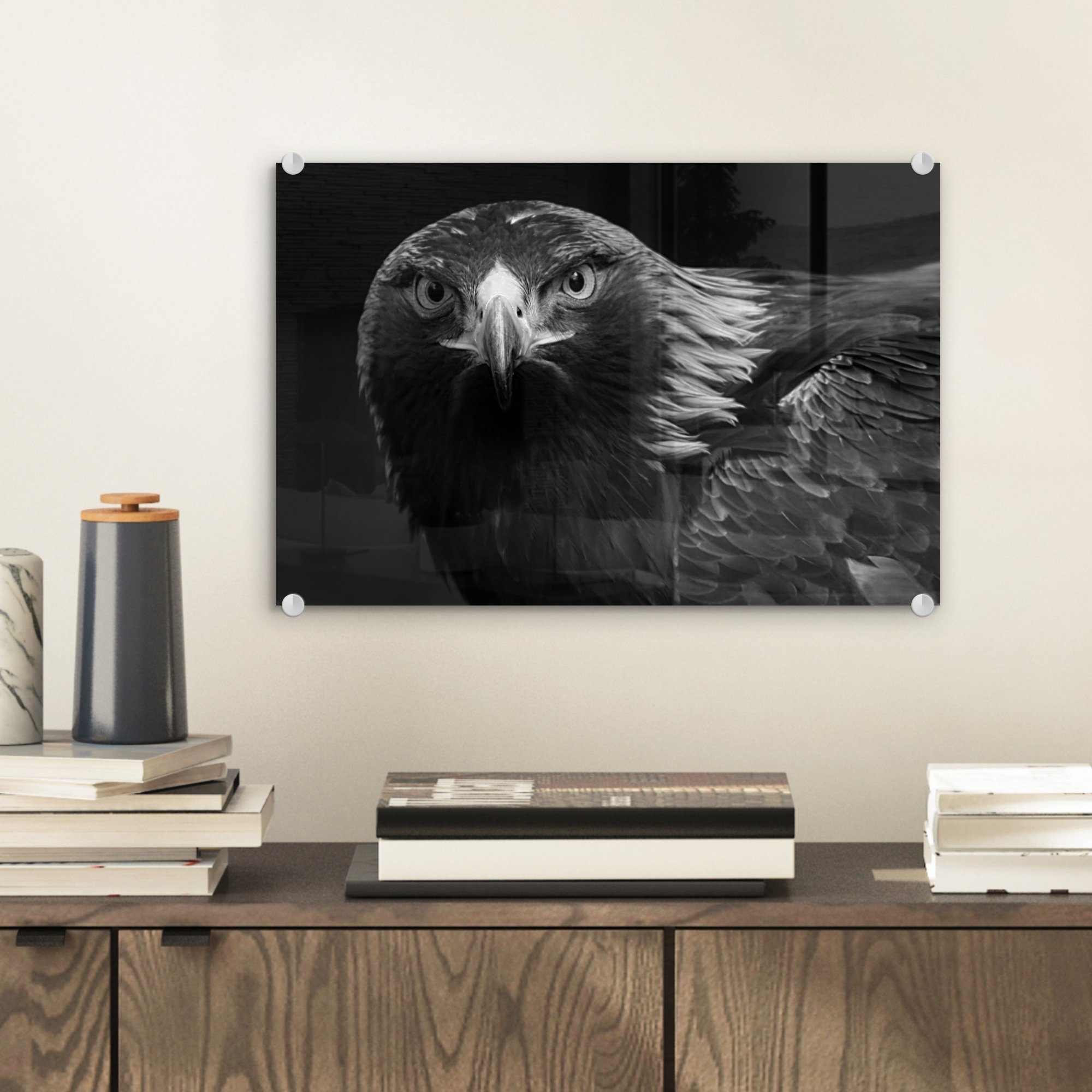MuchoWow Acrylglasbild Bussard - Vogel - günstig online kaufen