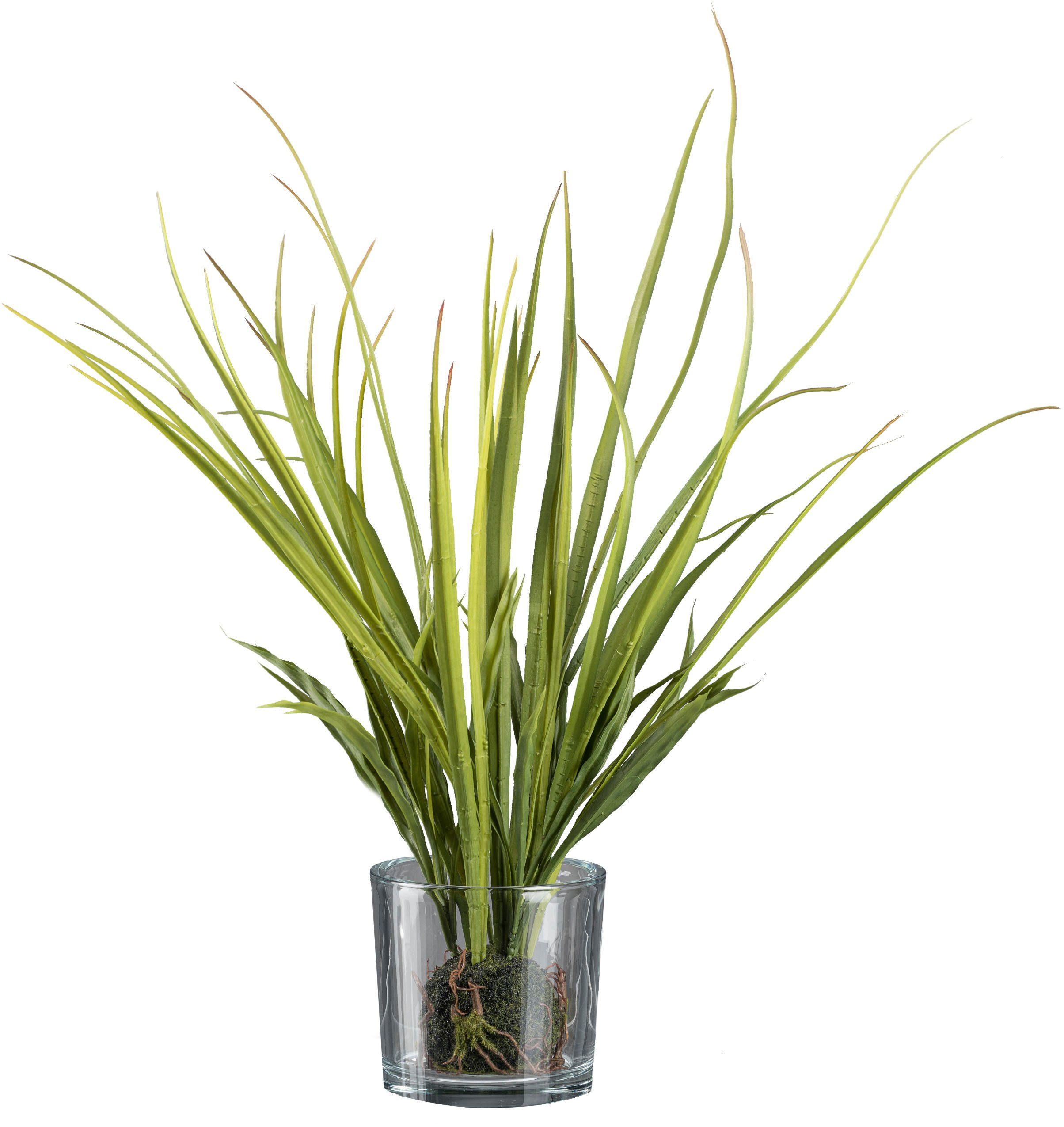 Kunstgras Wiesengras im Ballen und mit Glas Gras, Creativ green, Höhe 50 cm