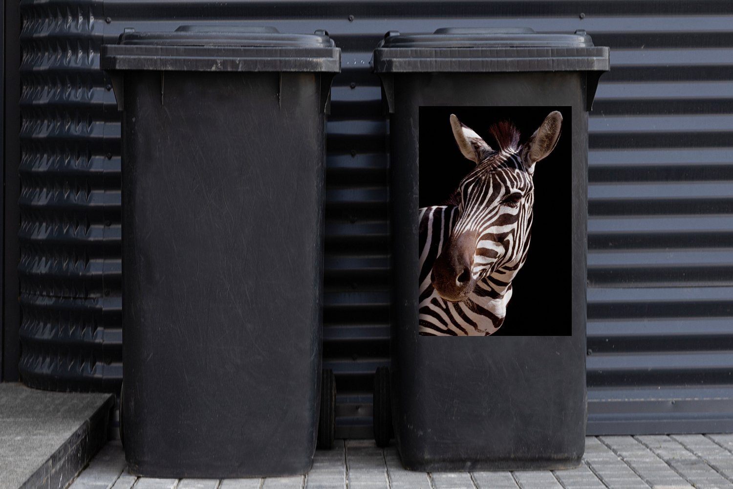 MuchoWow Wandsticker Neugieriges Container, auf Sticker, Abfalbehälter St), Hintergrund Mülltonne, (1 Zebra Mülleimer-aufkleber, schwarzem