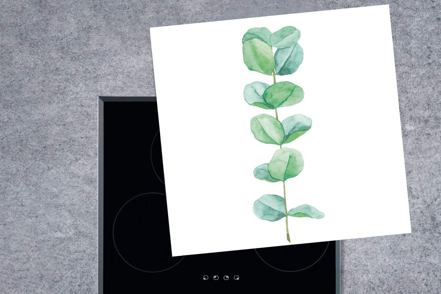 Arbeitsplatte tlg), - Eukalyptus MuchoWow Pflanze, - Herdblende-/Abdeckplatte Vinyl, küche Ceranfeldabdeckung, Aquarell (1 78x78 cm, für