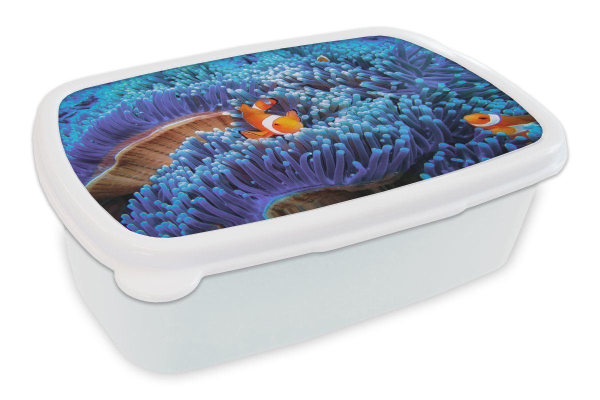 MuchoWow Lunchbox Dreibandige Anemonenfische schwimmen durch blaue Korallen, Kunststoff, (2-tlg), Brotbox für Kinder und Erwachsene, Brotdose, für Jungs und Mädchen weiß