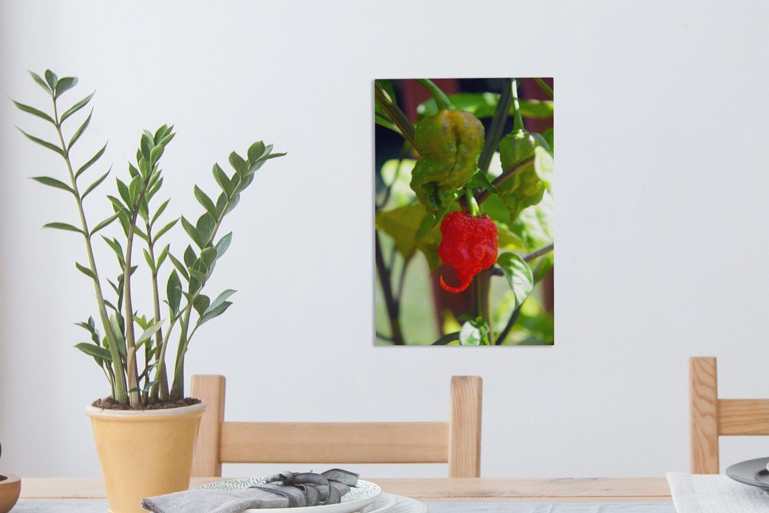 20x30 OneMillionCanvasses® (1 Leinwandbild Leinwandbild Zwei inkl. cm Pflanze, an Gemälde, St), bespannt Zackenaufhänger, fertig einer Paprikaschoten