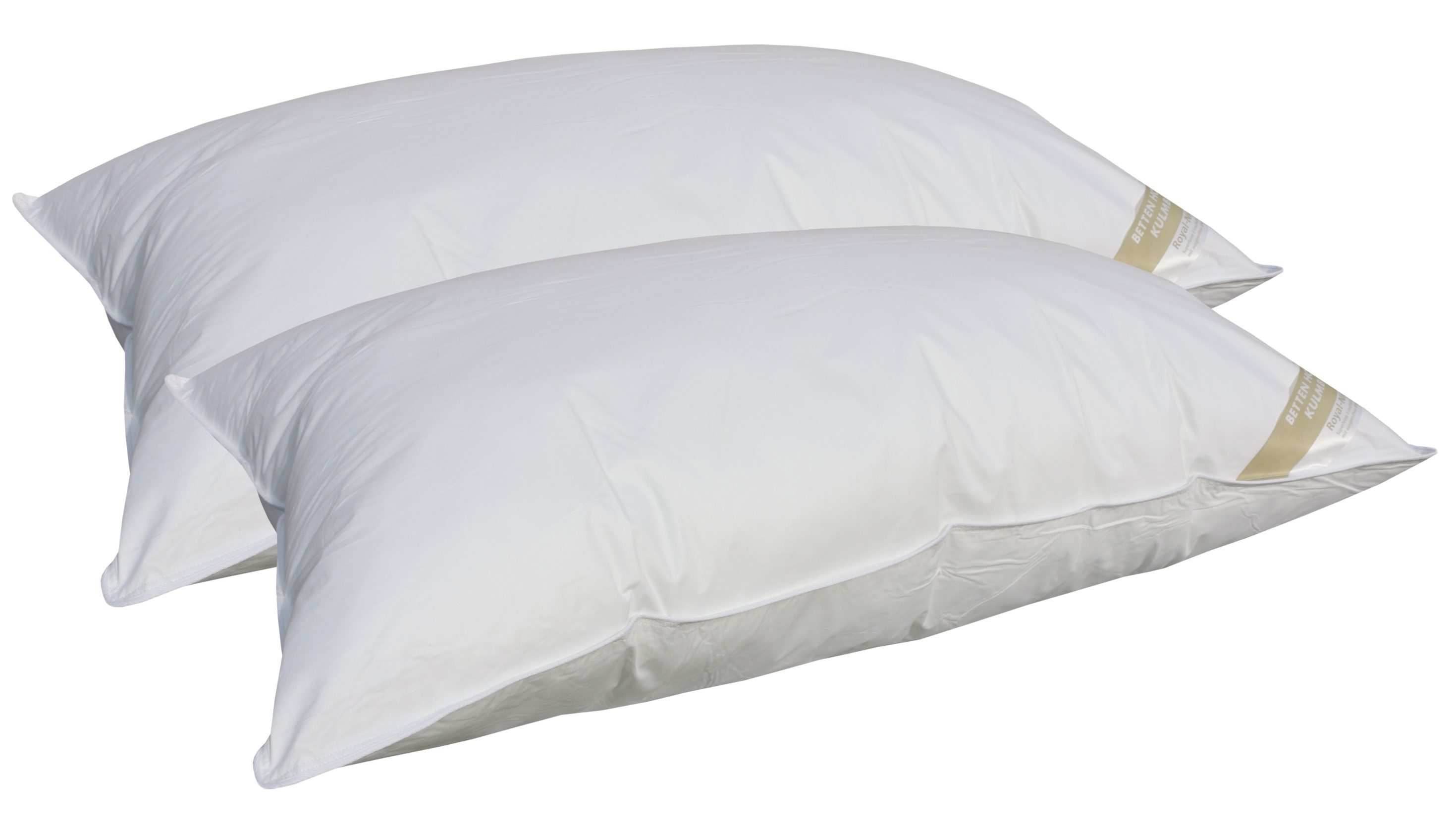 Betten Hofmann Kopfkissen 2 Stück Betten Hofmann Basic Allergiker Faserkopfkissen 65x100cm 950g, Füllung: 100% Polyester-Hohlfaserkugel, Bezug: 100% Baumwolle, Seitenschläfer, 2-tlg., prall befüllt, für Allergiker geeignet, hergestellt in Deutschland