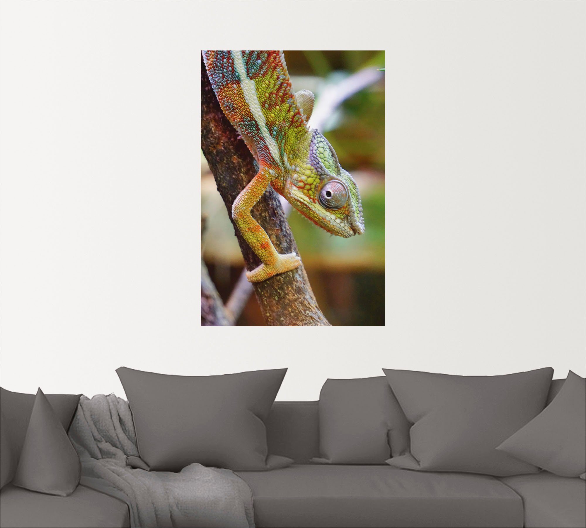 als in oder Wandbild versch. Alubild, Artland Reptilien (1 Wandaufkleber Poster Leinwandbild, St), Größen Chamäleon,