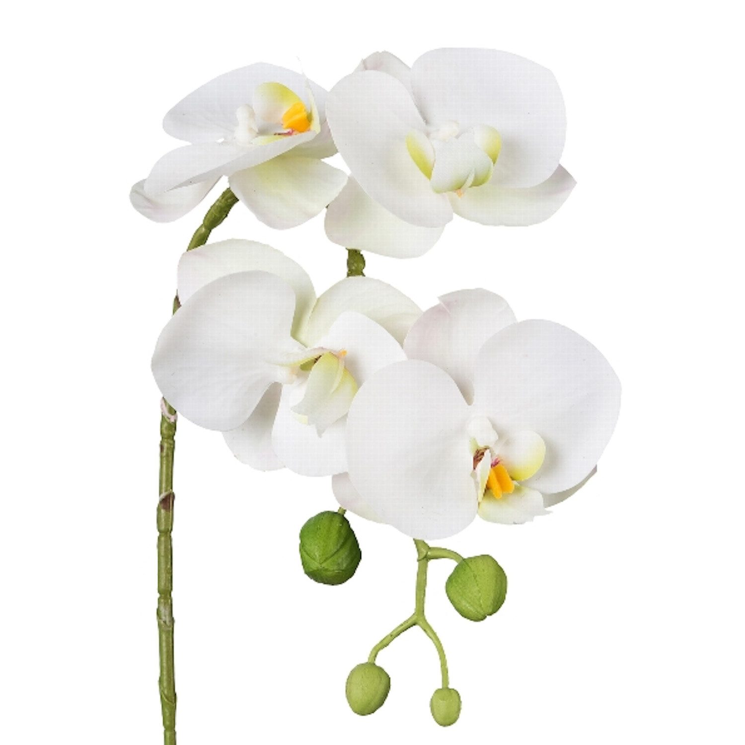 Kunstblume Einzelblume, Gasper, Höhe 40 cm, günstig online kaufen