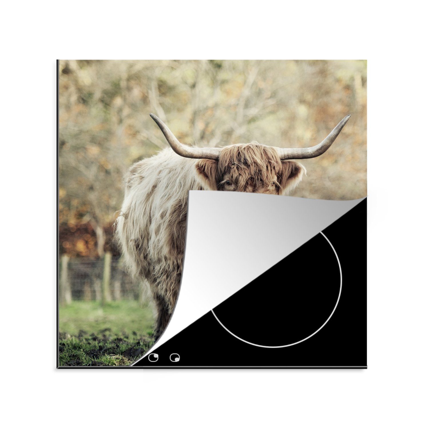 MuchoWow Herdblende-/Abdeckplatte Scottish Highlander Bull - Natur - Herbst, Vinyl, (1 tlg), 78x78 cm, Ceranfeldabdeckung, Arbeitsplatte für küche