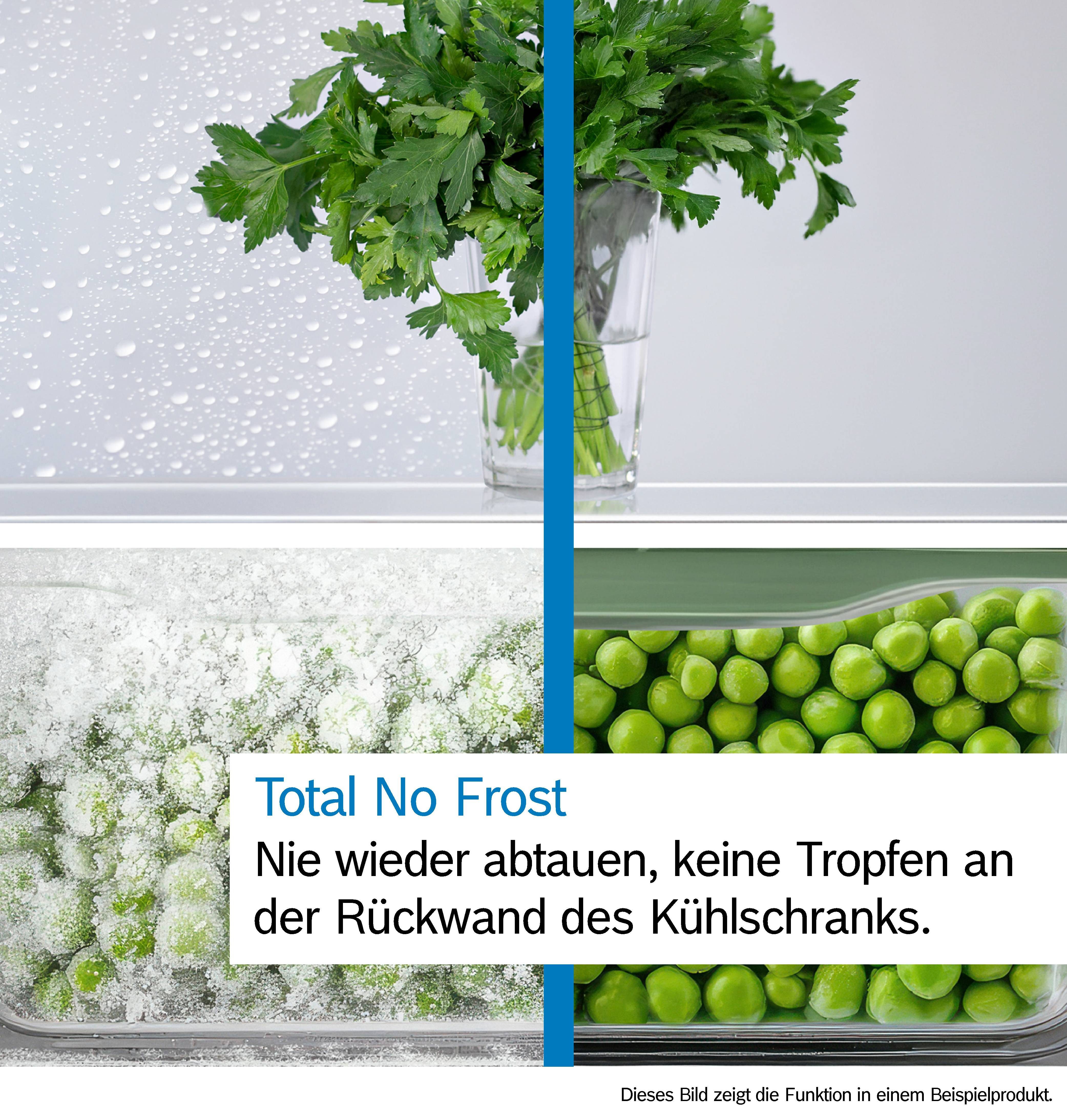 BOSCH Kühl-/Gefrierkombination Serie 4 KGN362LAF, 186 cm hoch, 60 cm breit, Länger frisch dank VitaFresh XXL & kein Abtauen mehr – Bild 4 von 5