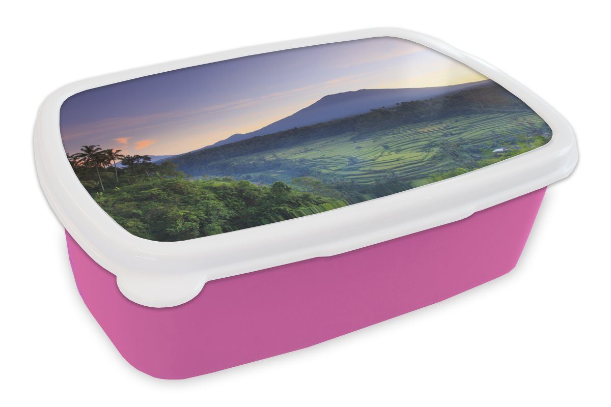 MuchoWow Lunchbox Reisfelder in Indonesien, Kunststoff, (2-tlg), Brotbox für Erwachsene, Brotdose Kinder, Snackbox, Mädchen, Kunststoff rosa