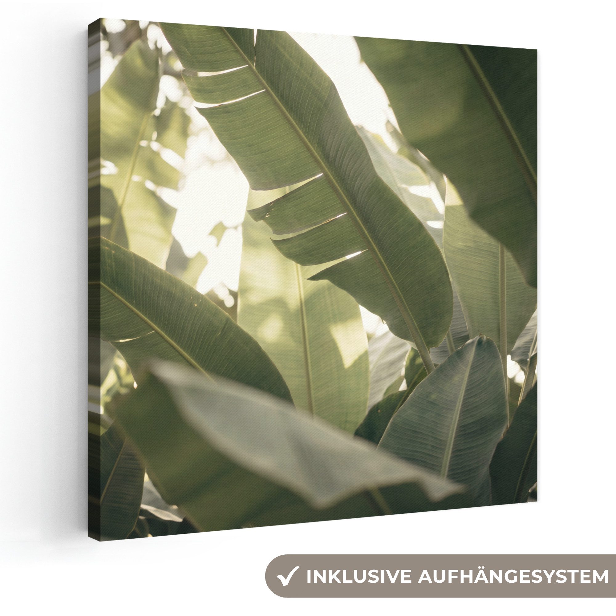 OneMillionCanvasses® Leinwandbild Natur – Blätter – Grün – Tropisch – Detail, Fotodruck (1 St), Wandbild, Deko Schlafzimmer Wohnzimmer Flur 20x20 cm