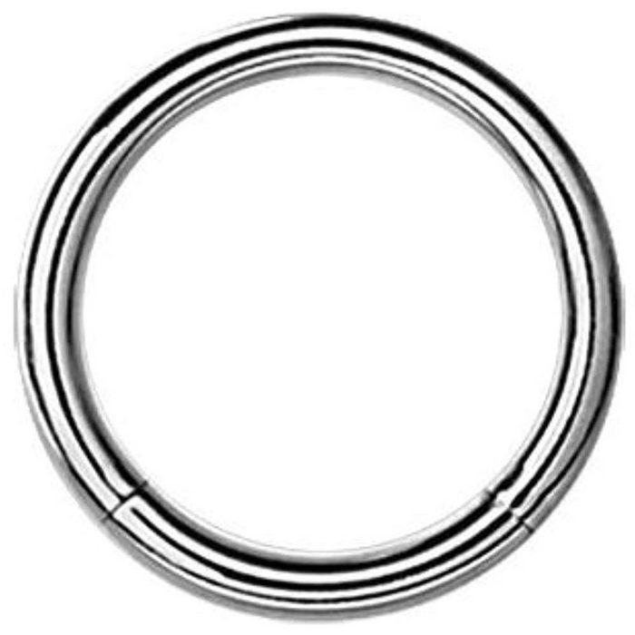 Karisma Piercing-Set Karisma Titan G23 Segment Ring Piercing Septum Nasenpiercing Ohrpiercing Intim 1 2mm - 6.0 Millimeter