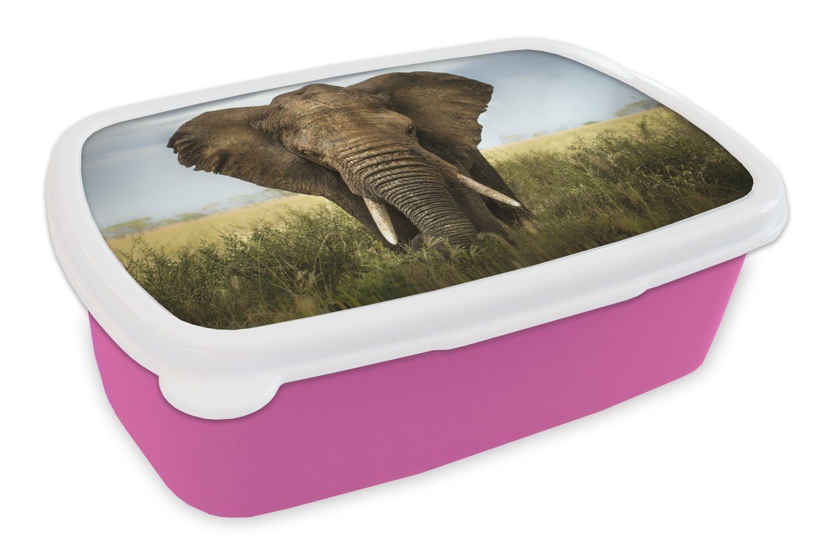 MuchoWow Lunchbox Elefant - Tiere - Gras, Kunststoff, (2-tlg), Brotbox für Erwachsene, Brotdose Kinder, Snackbox, Mädchen, Kunststoff rosa