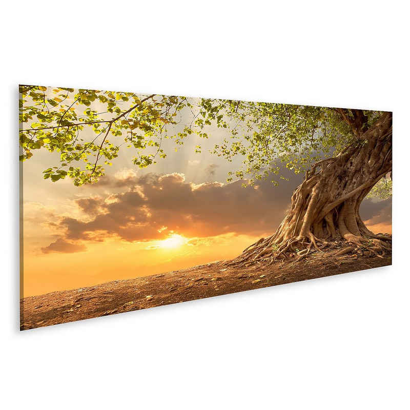 islandburner Leinwandbild Bild auf Leinwand Schöner Baum bei Sonnenuntergang Lebendiges Orange m