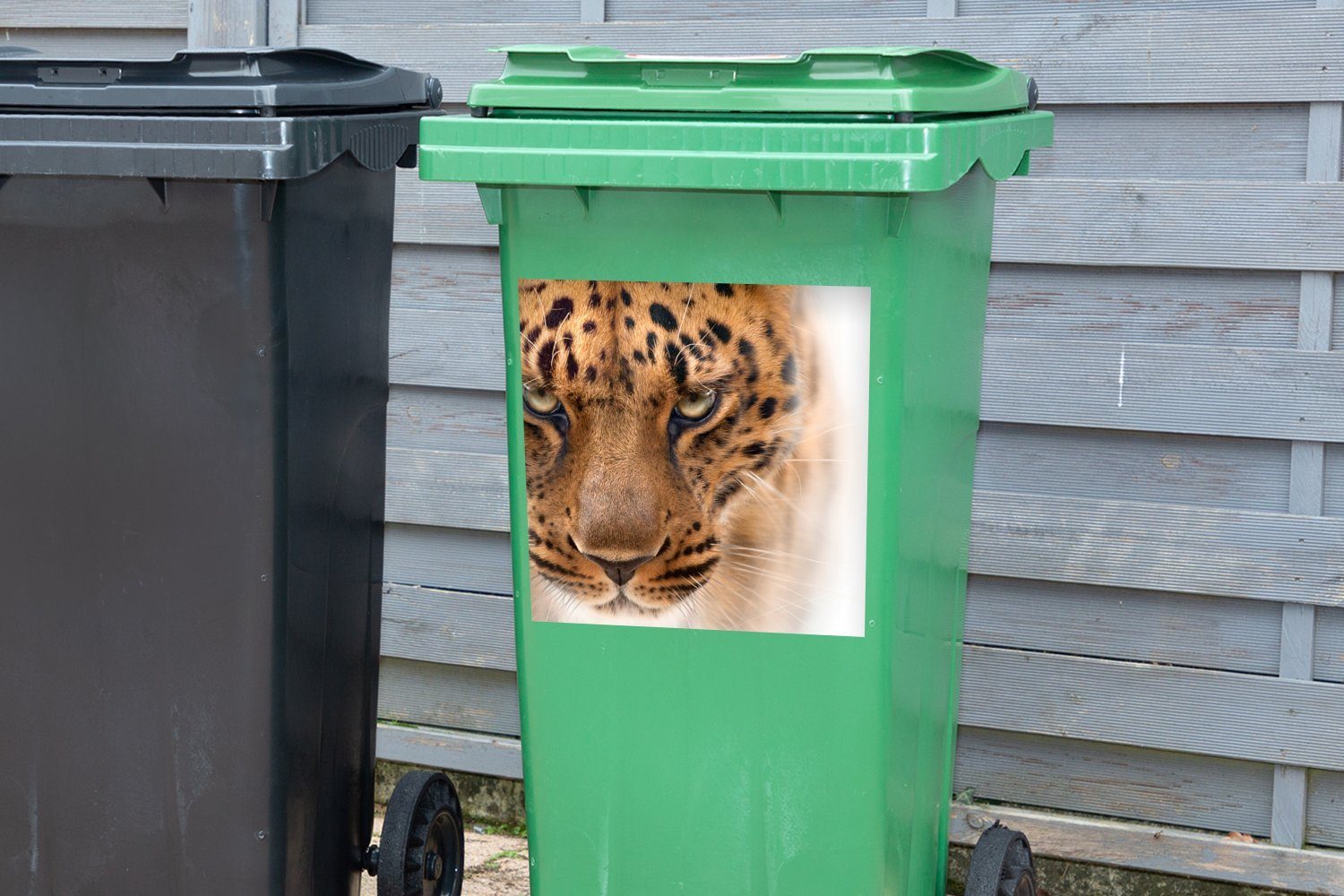 Sticker, - (1 Abfalbehälter St), Mülltonne, Leopard Porträt - Wandsticker Container, MuchoWow Mülleimer-aufkleber, Augen