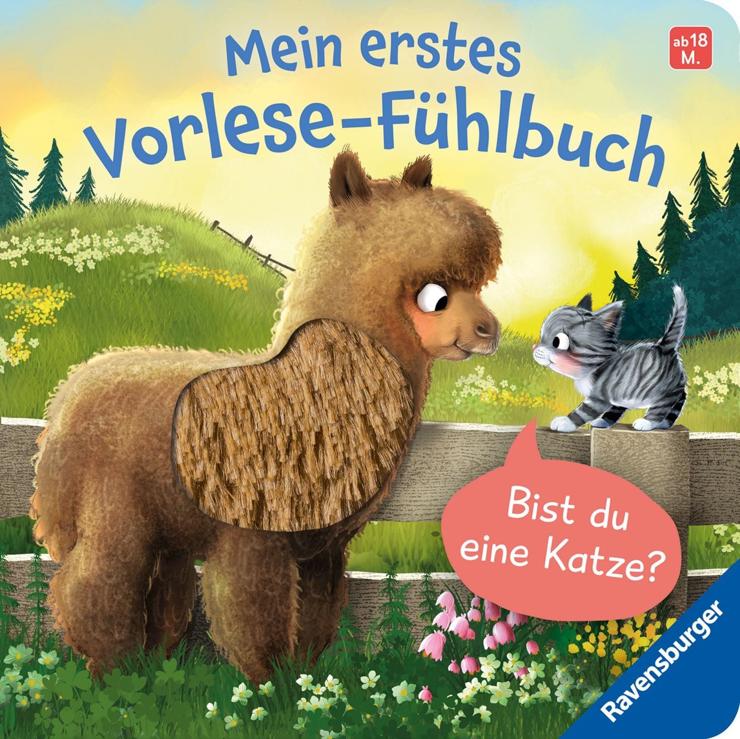 Mein erstes Vorlese-Fühlbuch - Bist du eine Katze? / Kathrin Lena Orso