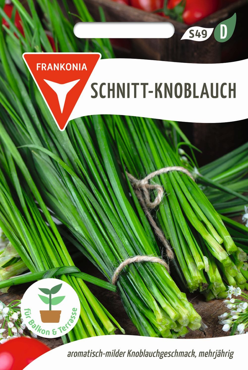 FRANKONIA Kräutersamen Schnitt-Knoblauch, Lauch schmeckt wie Knoblauch - Kräuter-Samen Gewürz, Aium tuberosum