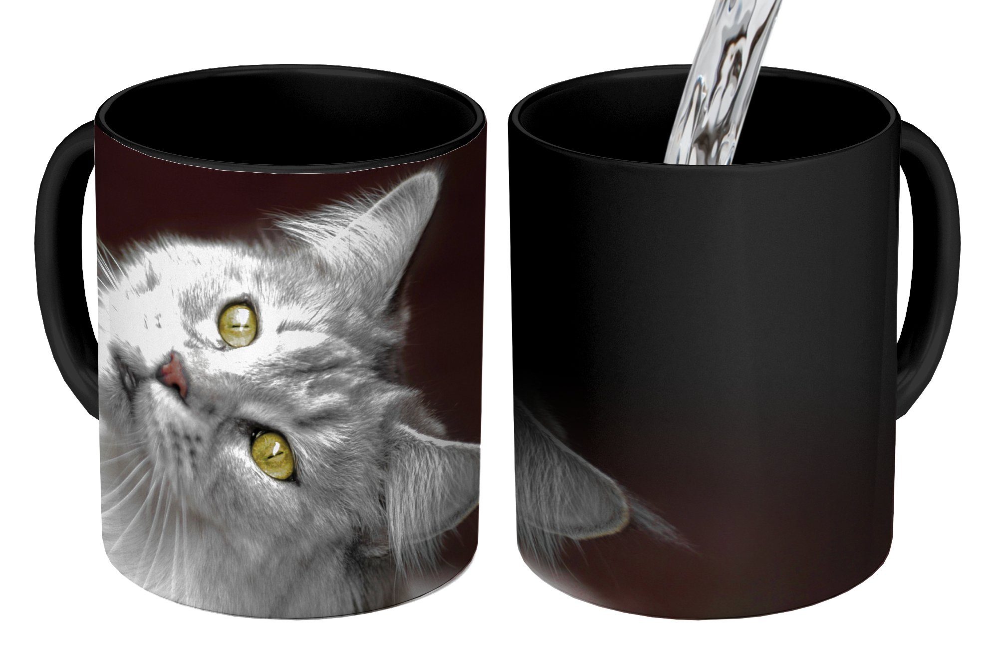 Weiße Kaffeetassen, Katze, MuchoWow Geschenk Keramik, Maine Coon Farbwechsel, und Teetasse, Tasse graue Zaubertasse,