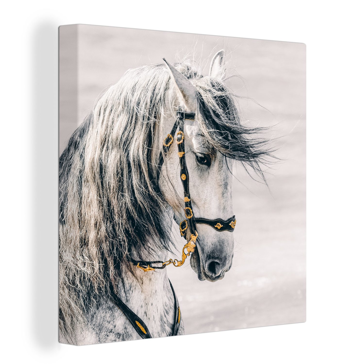 OneMillionCanvasses® Leinwandbild Pferd - Weiß - Gold, (1 St), Leinwand Bilder für Wohnzimmer Schlafzimmer