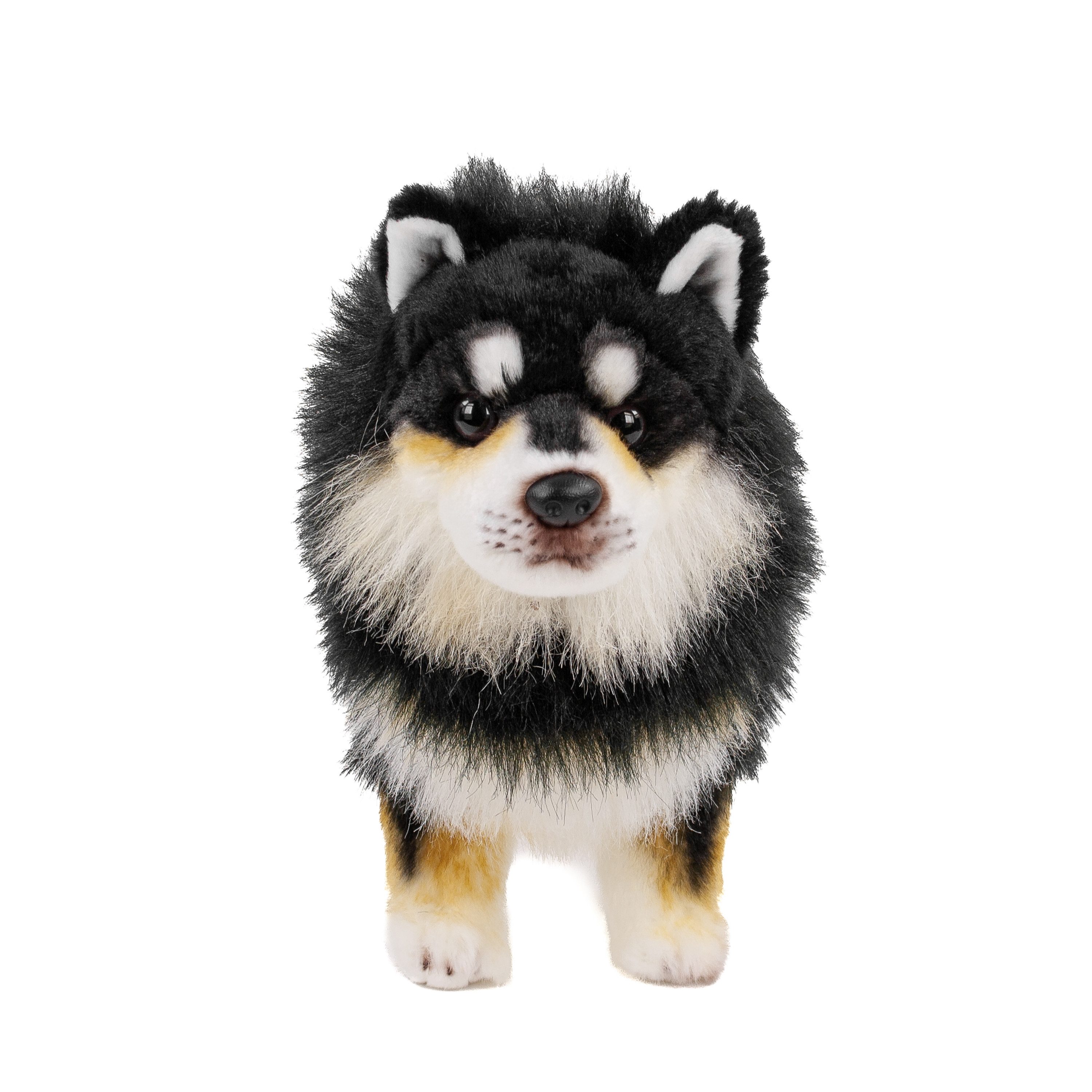 Teddys Rothenburg Kuscheltier Kuscheltier Finnischer Lapphund 33 cm stehend Plüschhund