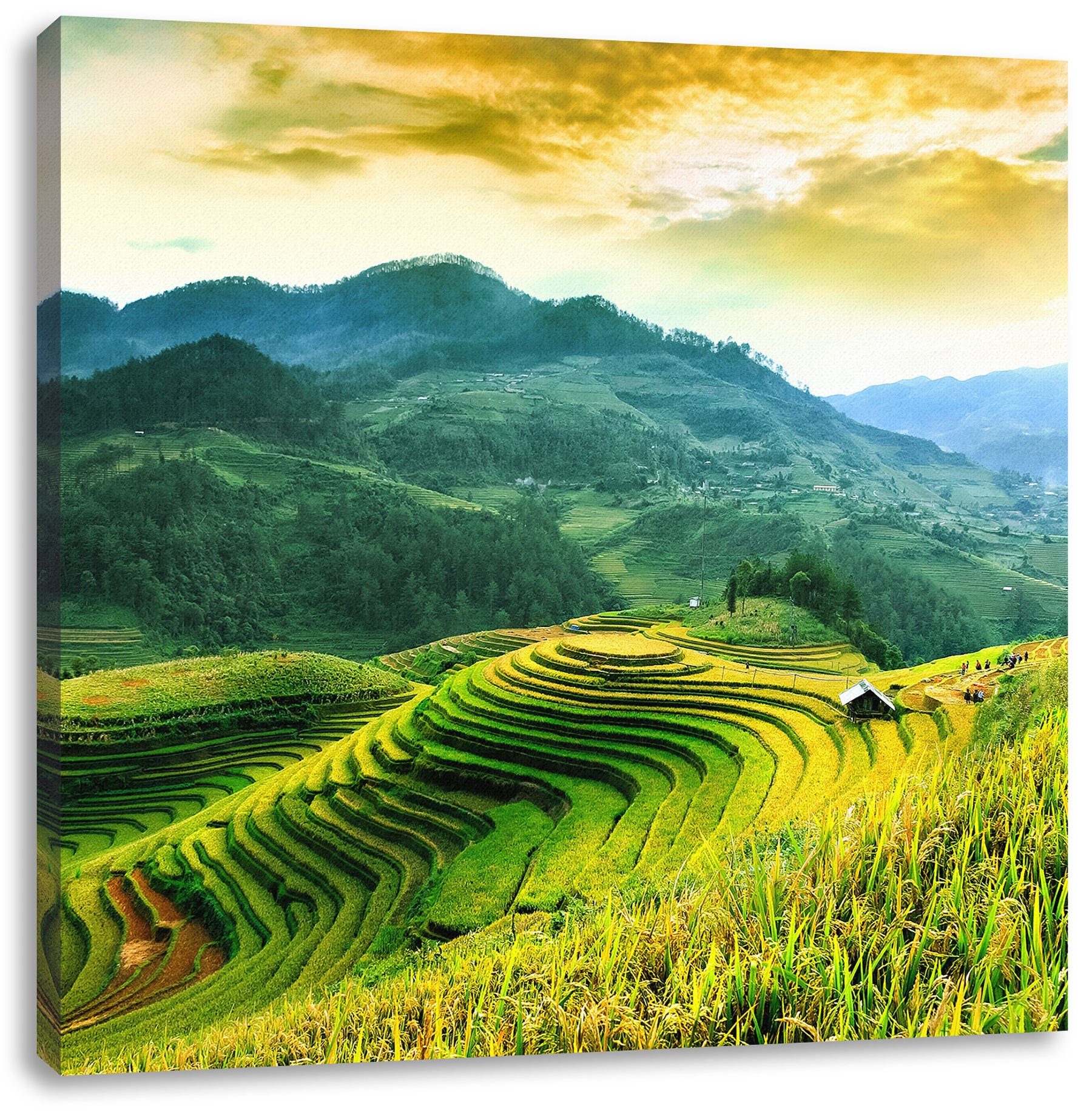 Pixxprint Leinwandbild Reisfelder in St), in Zackenaufhänger bespannt, (1 Vietnam Leinwandbild Reisfelder inkl. fertig Vietnam