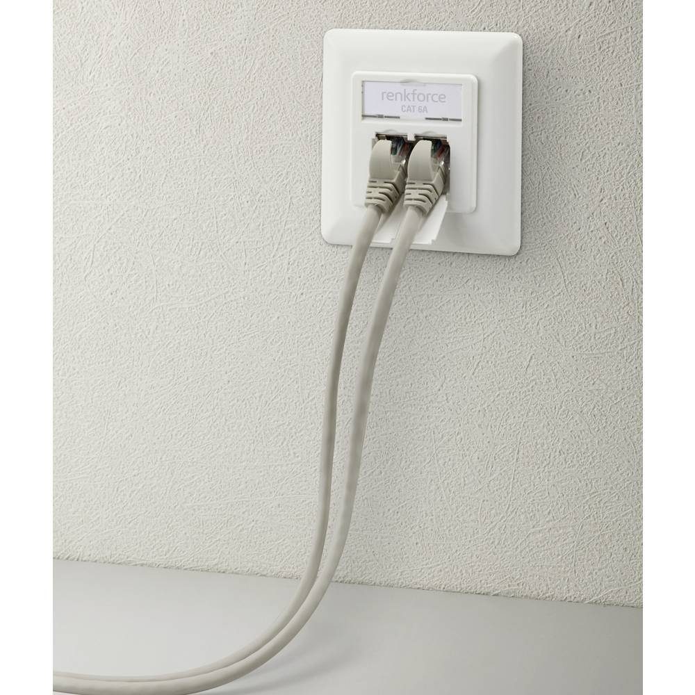 Renkforce 2 Port CAT 6a RAL9003 Unterputz-Netzwerkdose RF-4391320 Netzwerk-Adapter, Kompakt