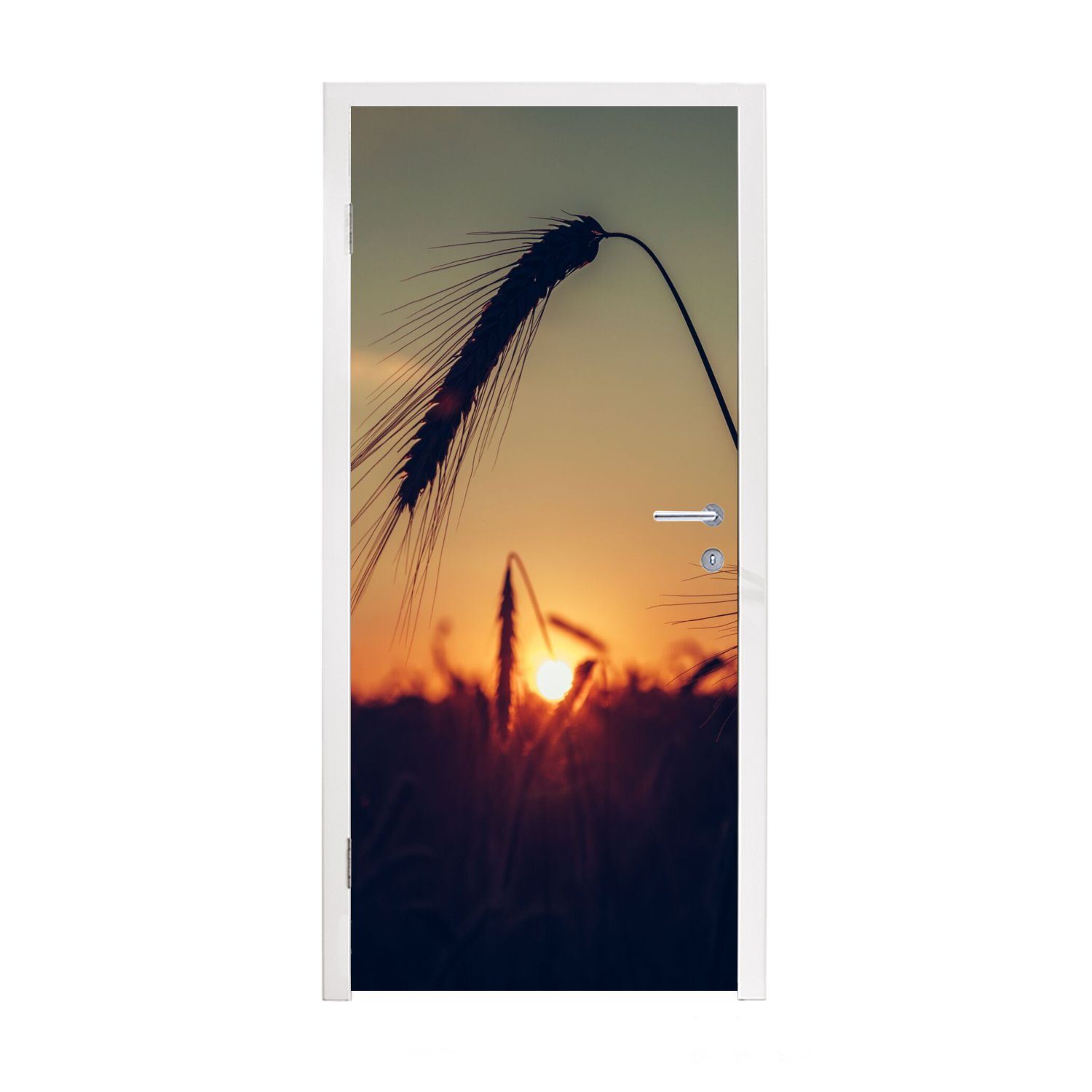 MuchoWow Türtapete bedruckt, - für (1 Gras Tür, Sonnenuntergang Türaufkleber, - cm 75x205 Jahreszeiten Matt, Fototapete Landschaft, St), - - Herbst
