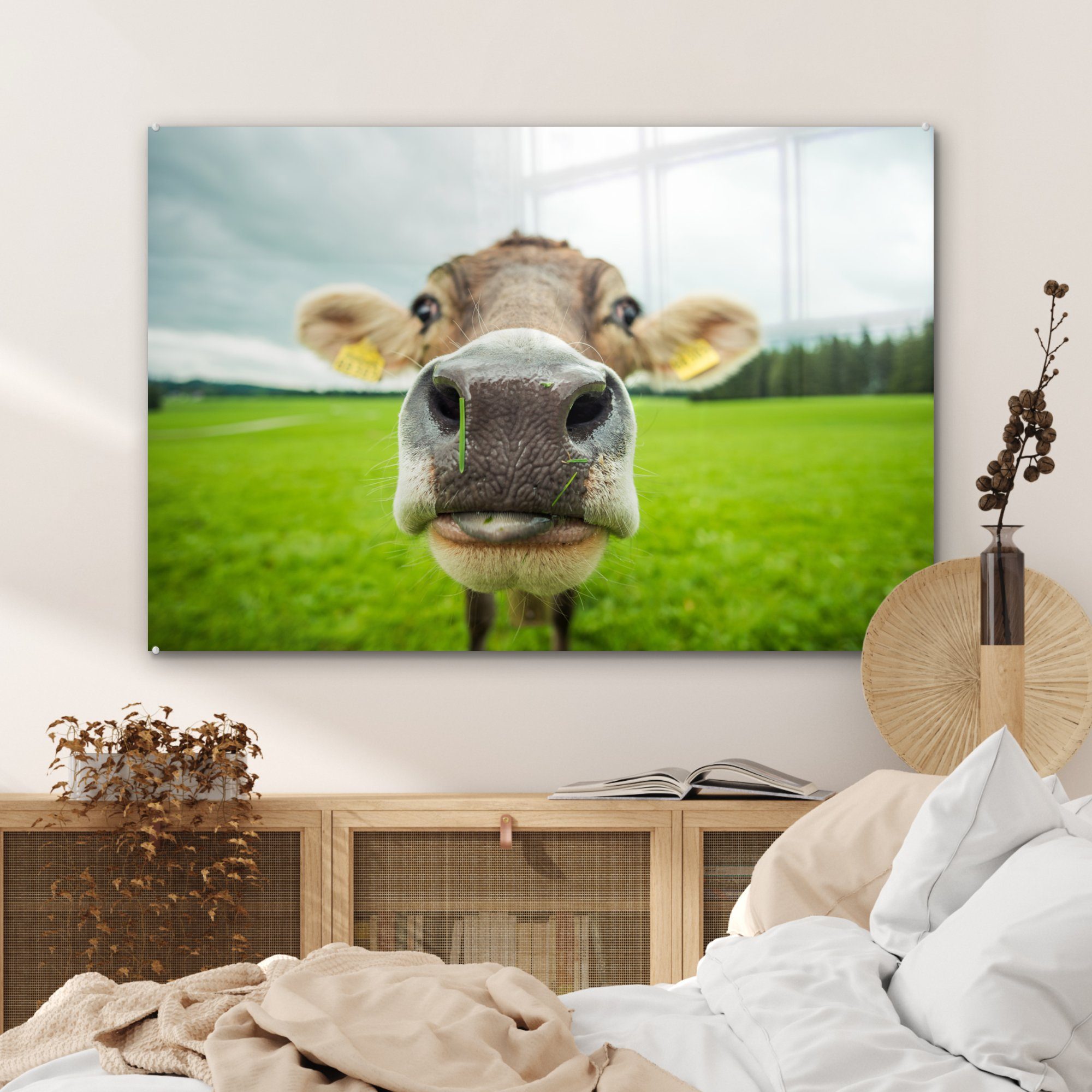 (1 Tiere Acrylglasbilder MuchoWow Schlafzimmer Acrylglasbild Kuh Makro, Gras - Wohnzimmer - - St), &