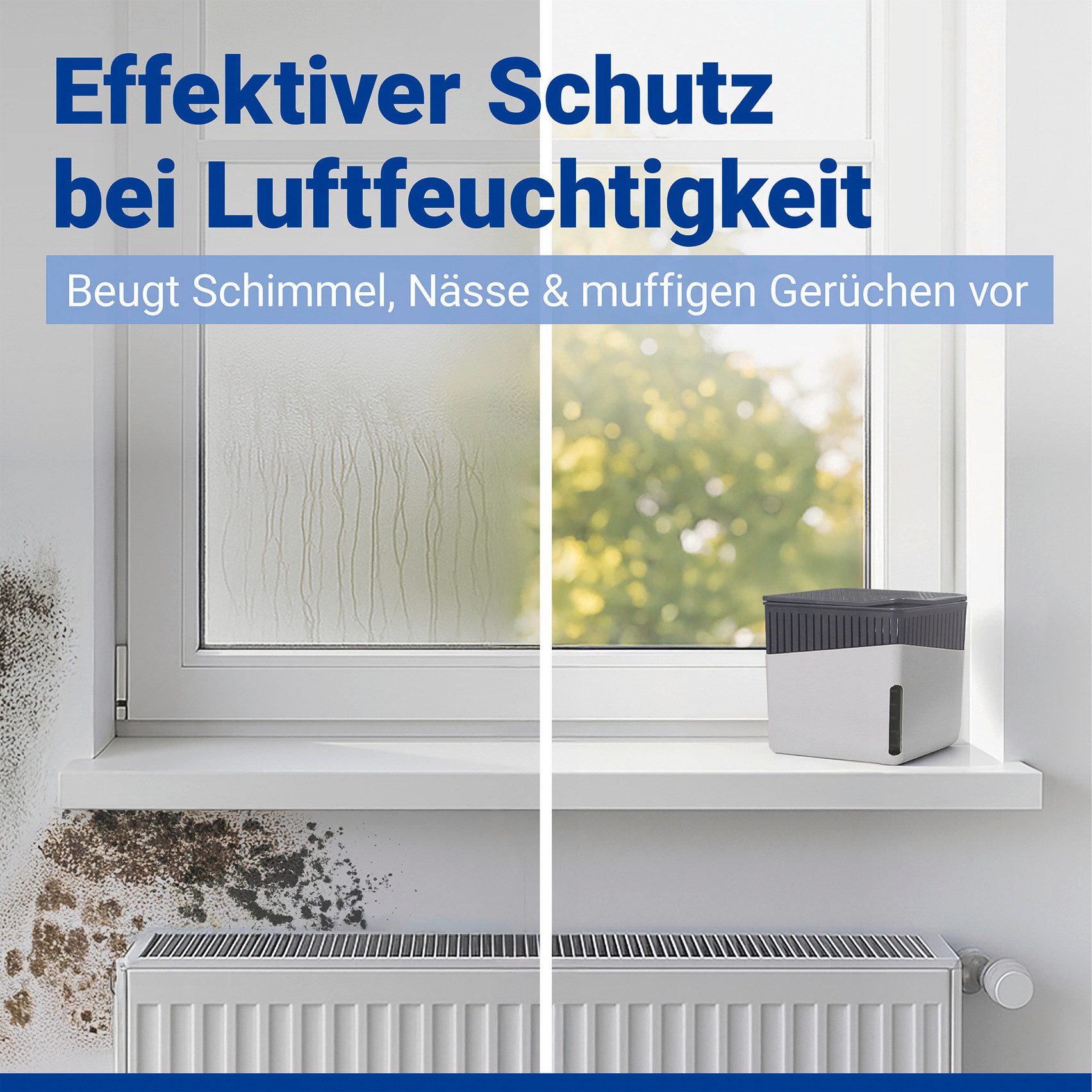 WENKO Luftentfeuchter Cube, für 40 m³ günstig online kaufen