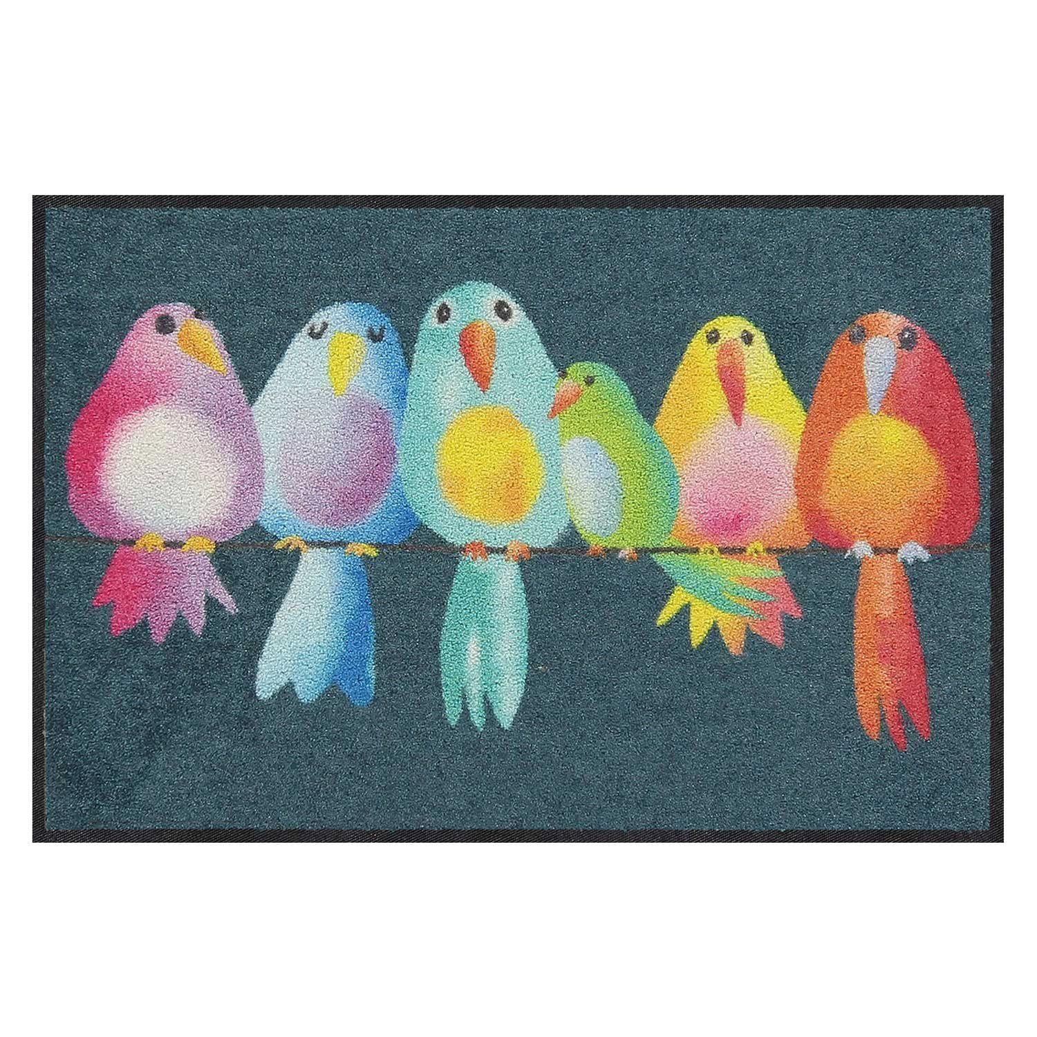 Salonloewe Fußmatte Fußmatte 50x75 Rainbow Birds, Eingangsmatte normal, Höhe: 500 mm