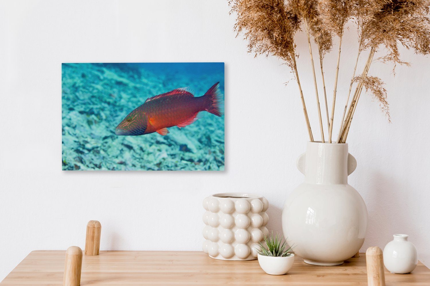 OneMillionCanvasses® Leinwandbild Fische - Tropisch - St), (1 Aufhängefertig, 30x20 Wandbild Wanddeko, Leinwandbilder, cm Rot