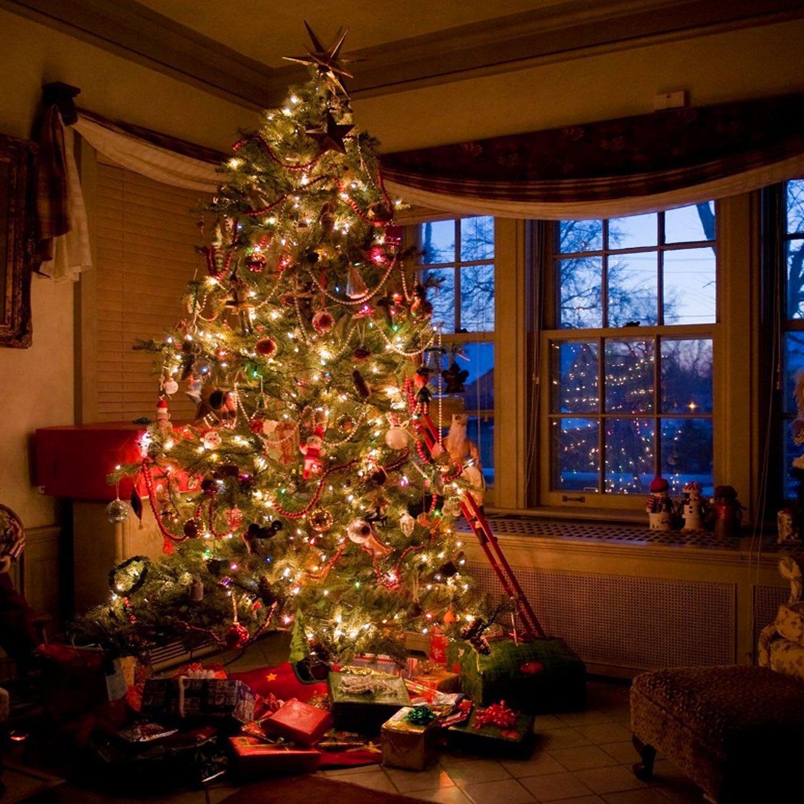 Sunicol LED-Lichterkette Timer LED Weihnachtsbeleuchtung, 8 Außen für Modi Weihnachtsbaum 50/100M Party, Weihnachten, Strom, Hochzeit Innen Deko, Schlafzimmer