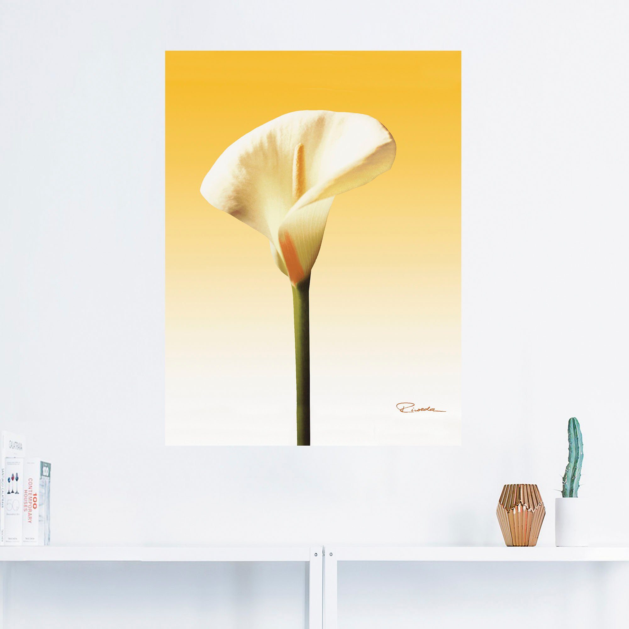 Artland Wandbild Sonnenschein Calla II, Blumenbilder (1 St), als Alubild,  Leinwandbild, Wandaufkleber oder Poster in versch. Größen