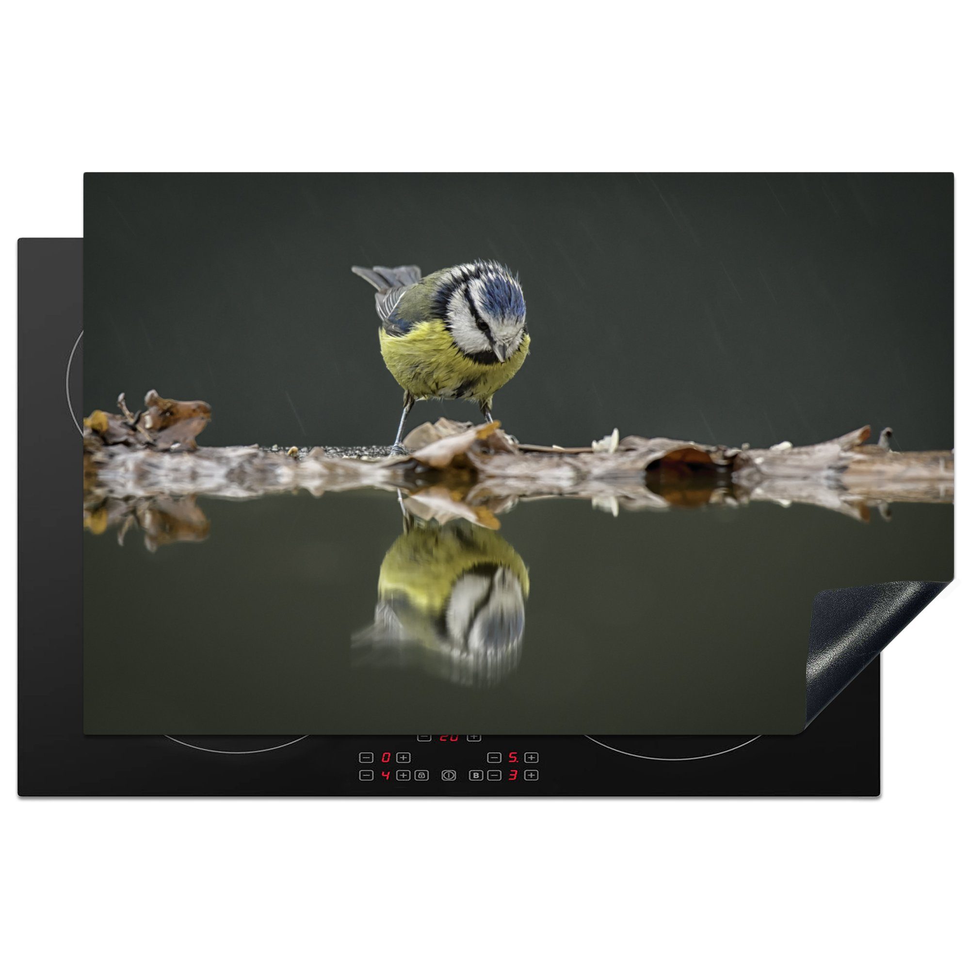 MuchoWow Herdblende-/Abdeckplatte Vogel - Wasser - Spiegelung, Vinyl, (1 tlg), 81x52 cm, Induktionskochfeld Schutz für die küche, Ceranfeldabdeckung