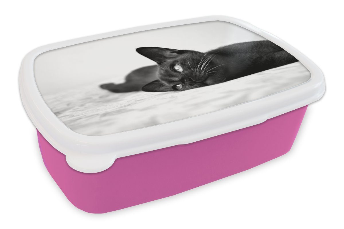 MuchoWow Lunchbox Burmakatze auf einer Decke liegend - schwarz und weiß, Kunststoff, (2-tlg), Brotbox für Erwachsene, Brotdose Kinder, Snackbox, Mädchen, Kunststoff rosa