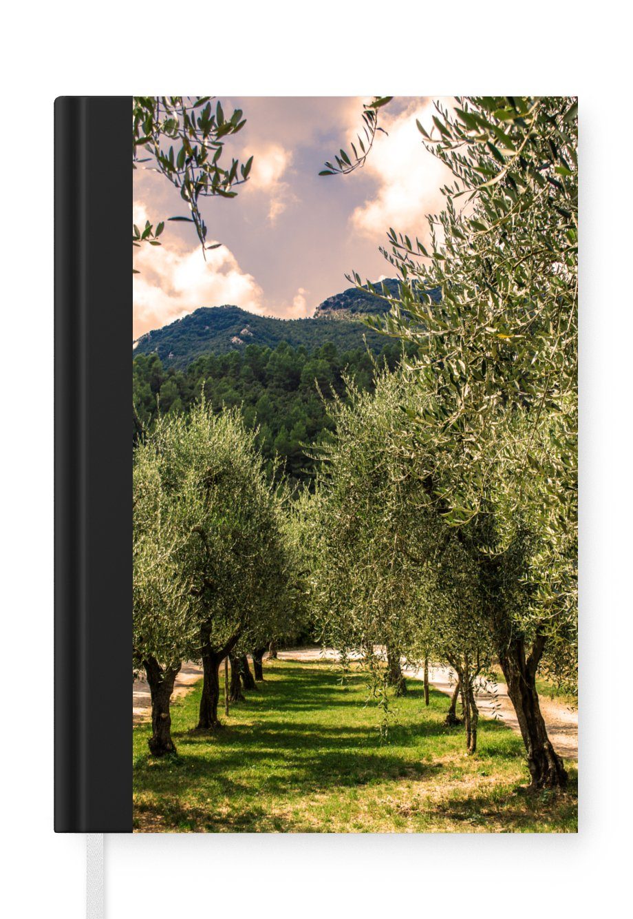 MuchoWow Notizbuch Eine Seiten, Olivenbäumen, Journal, Allee A5, italienischen Notizheft, Haushaltsbuch 98 aus Merkzettel, Tagebuch