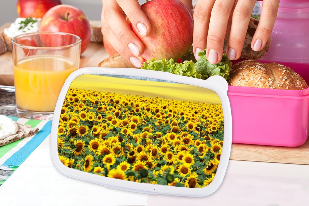 Brotbox Blumen Kinder, Mädchen, Erwachsene, Brotdose - Sonnenblume rosa - Natur, Lunchbox MuchoWow Kunststoff, Kunststoff (2-tlg), für Snackbox,