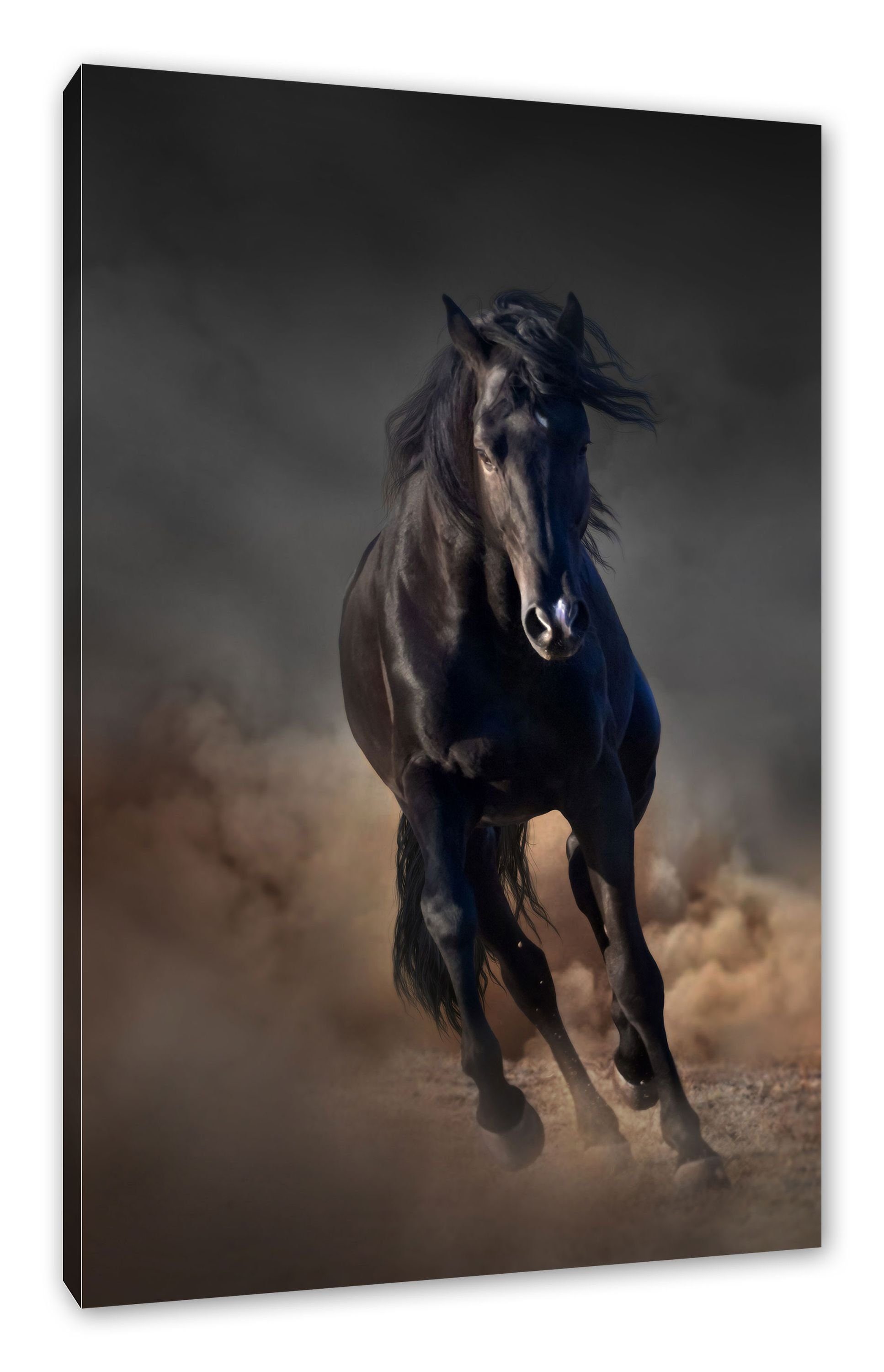 Leinwandbild Elegantes Leinwandbild Elegantes inkl. Pferd Pferd, bespannt, Pixxprint schwarzes schwarzes Zackenaufhänger (1 St), fertig