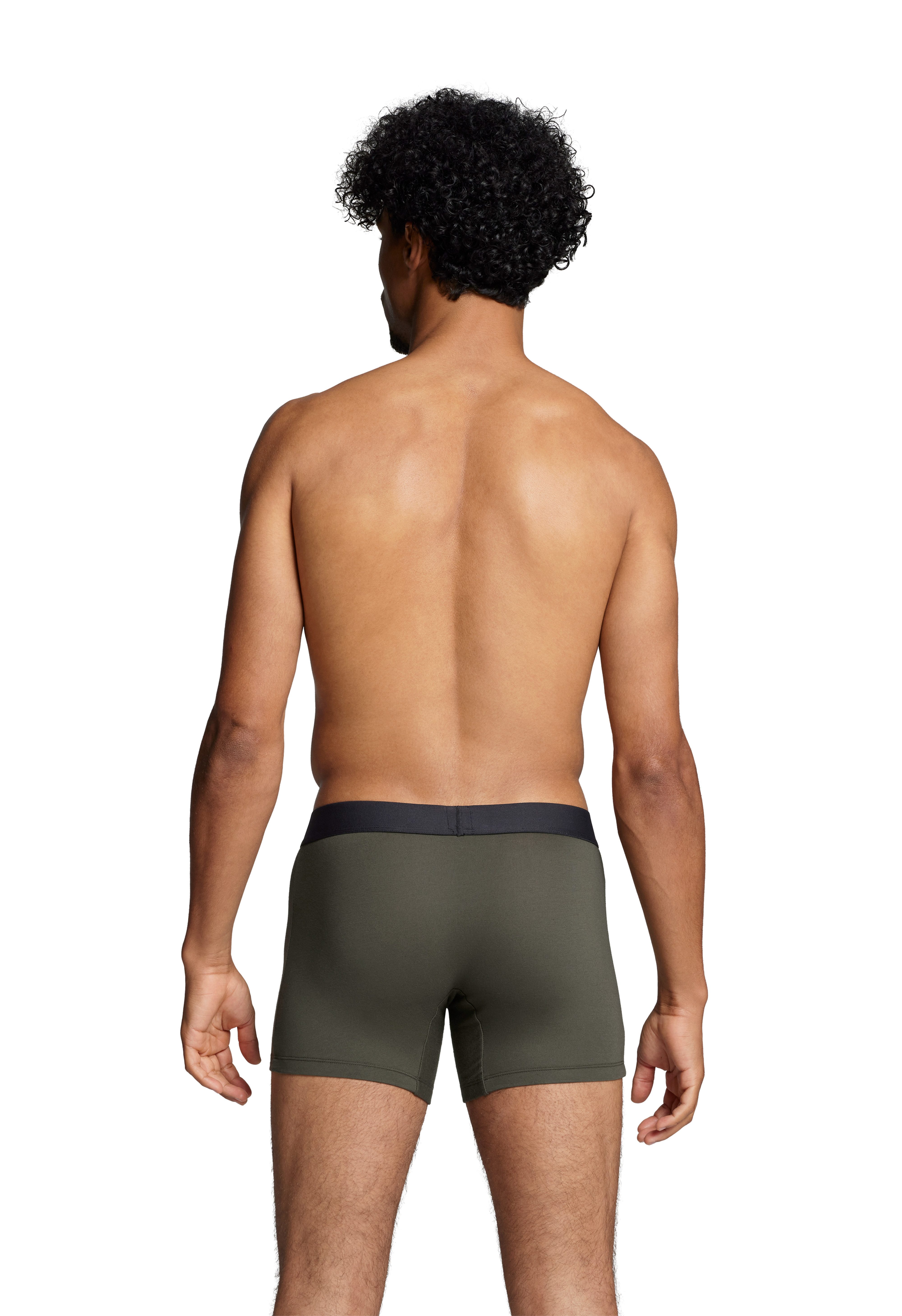 Levi's® Boxershorts LEVIS MEN MEL WB BOXER BRIEF ORG CO 2P (2er Pack) mit breitem Logobund