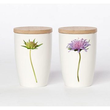 Simply Flowers Vorratsdose Tasse Acker Witwenblume (Klein)